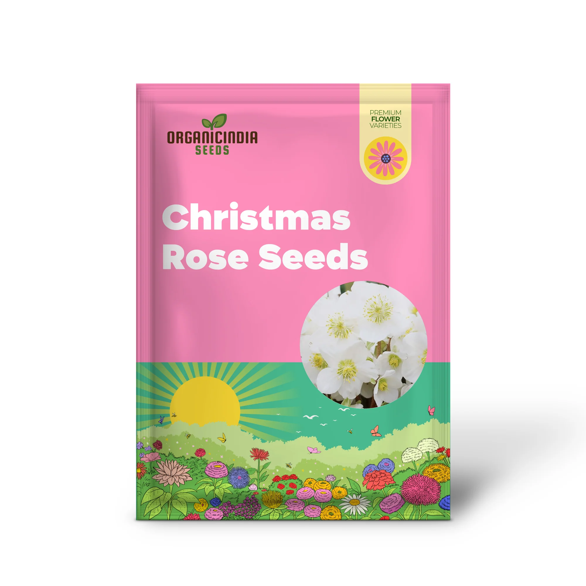 Christmas Rose Seeds (Helleborus Niger Seeds) - GMO-Free Perennial for Outdoor Borders & Beds - Image 2