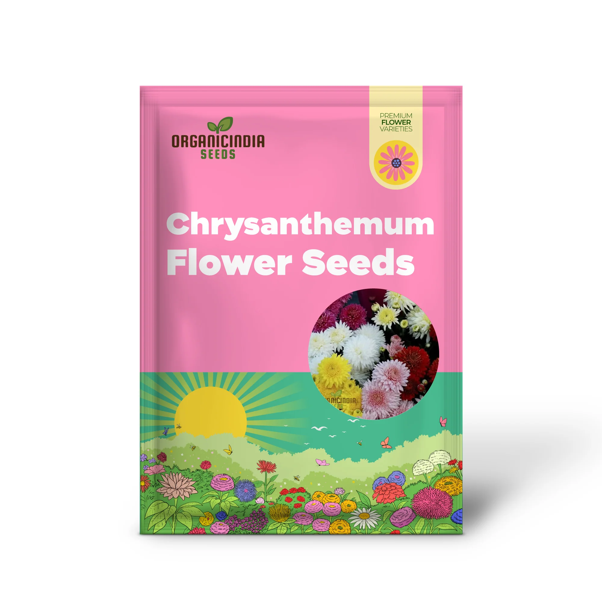 Chrysanthemum Ornamental Flower Seeds for Planting - 100 pcs - Image 2