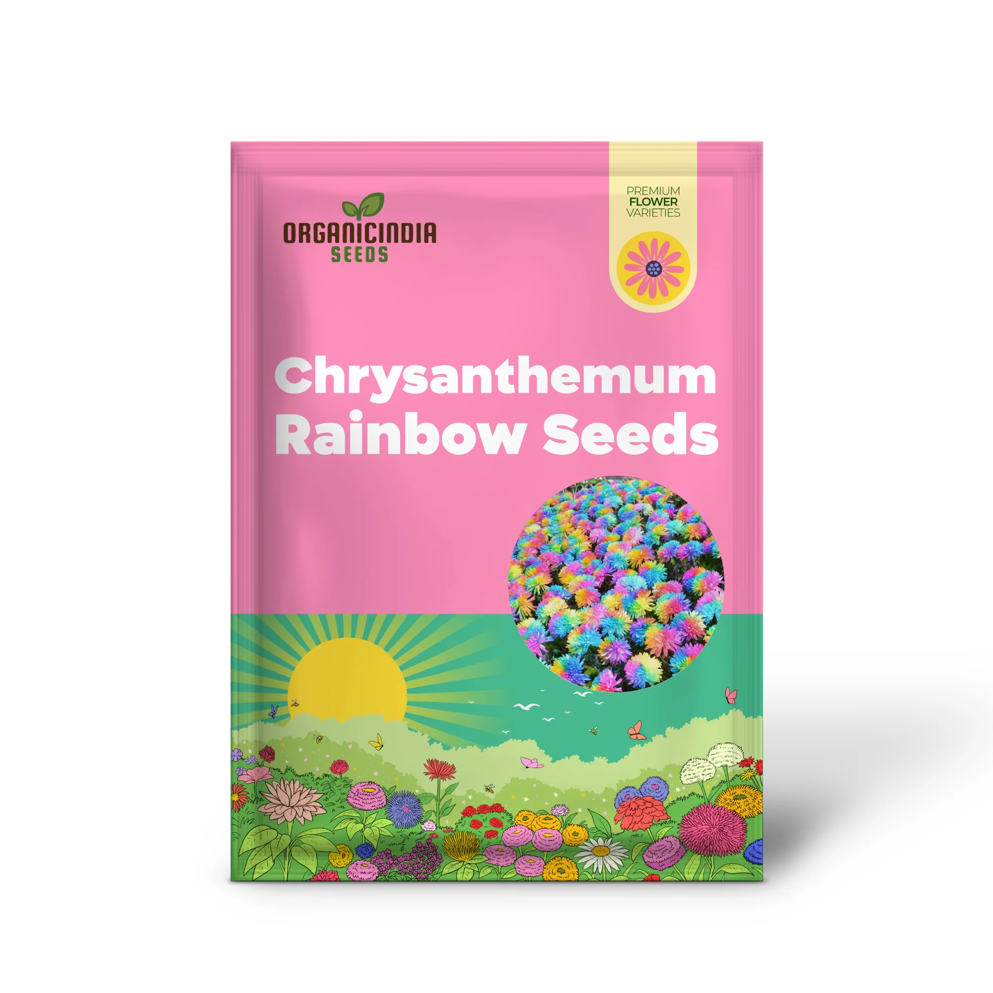 Chrysanthemum Rainbow Seeds: Delightful Gardening Gems for Your Colorful Oasis - Image 2