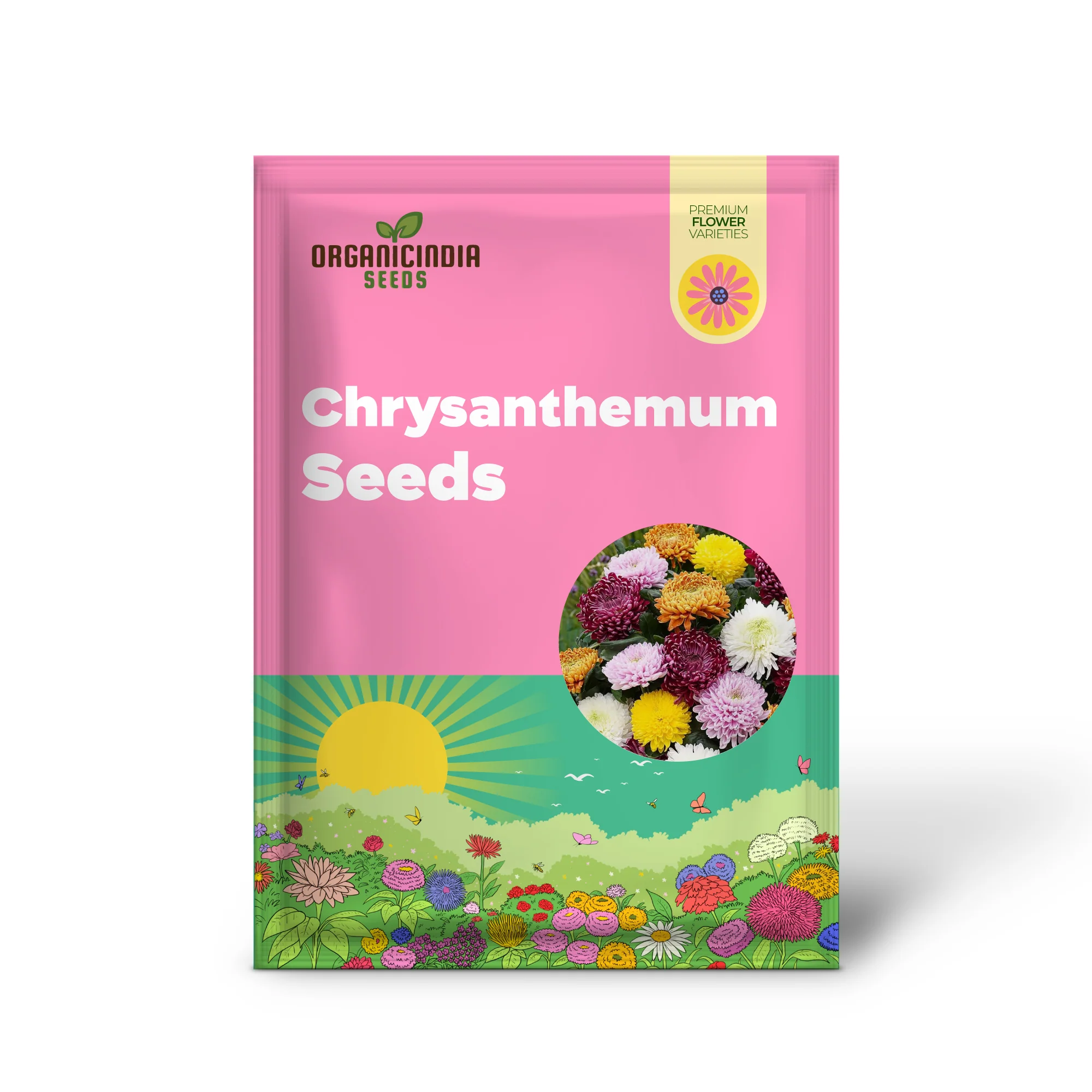 Chrysanthemum Seeds  Colorful  Diverse Flowers  Popular Ornamental Plants for Vibrant Blooms in Gardens, Landscapes  Floral Arrangements  Flower Seeds - Image 2
