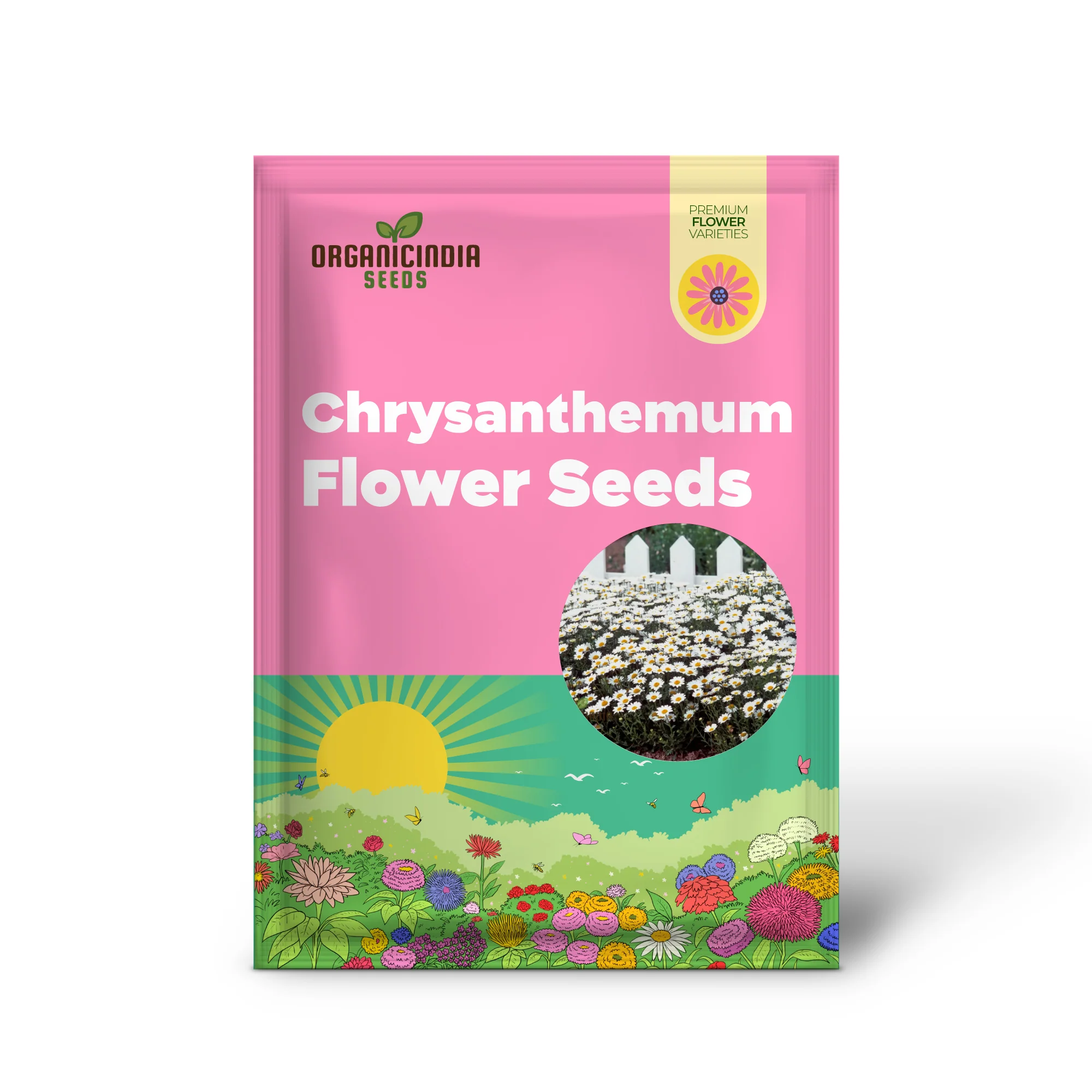 Chrysanthemum Snowland: Premium Seeds for Enthusiastic Gardeners Seeking Vibrant Blooms - Image 2