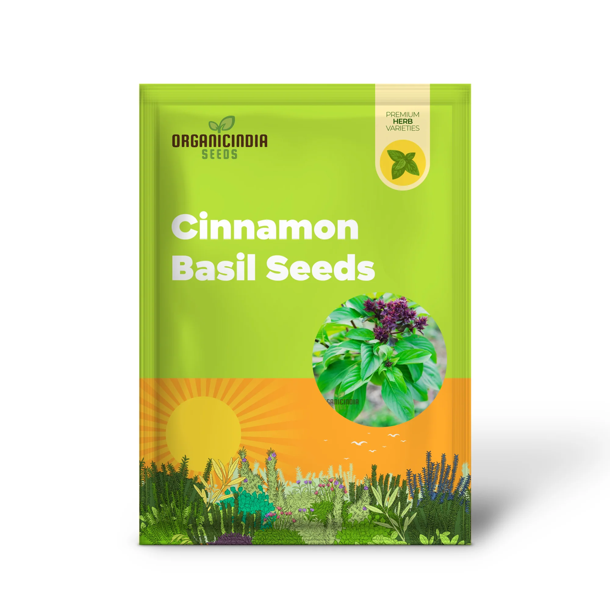 Cinnamon Basil Seeds – Aromatic, Non-GMO Culinary Herb Variety - Image 2