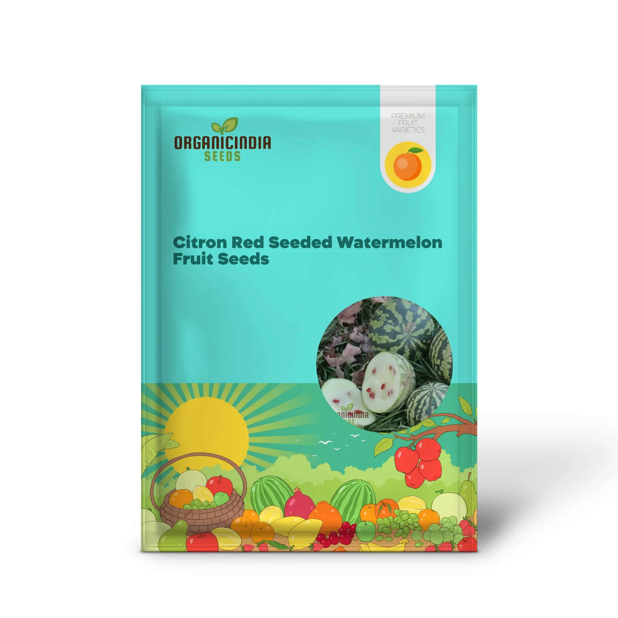 Citron Red Seeded Watermelon Seeds For planting: Exquisite Gardening Delight with Abundant Seed - Image 2