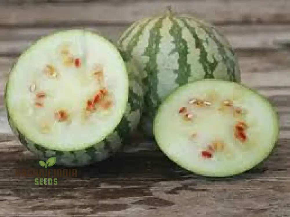 Citron Red Seeded Watermelon Seeds For planting: Exquisite Gardening Delight with Abundant Seed - Image 4