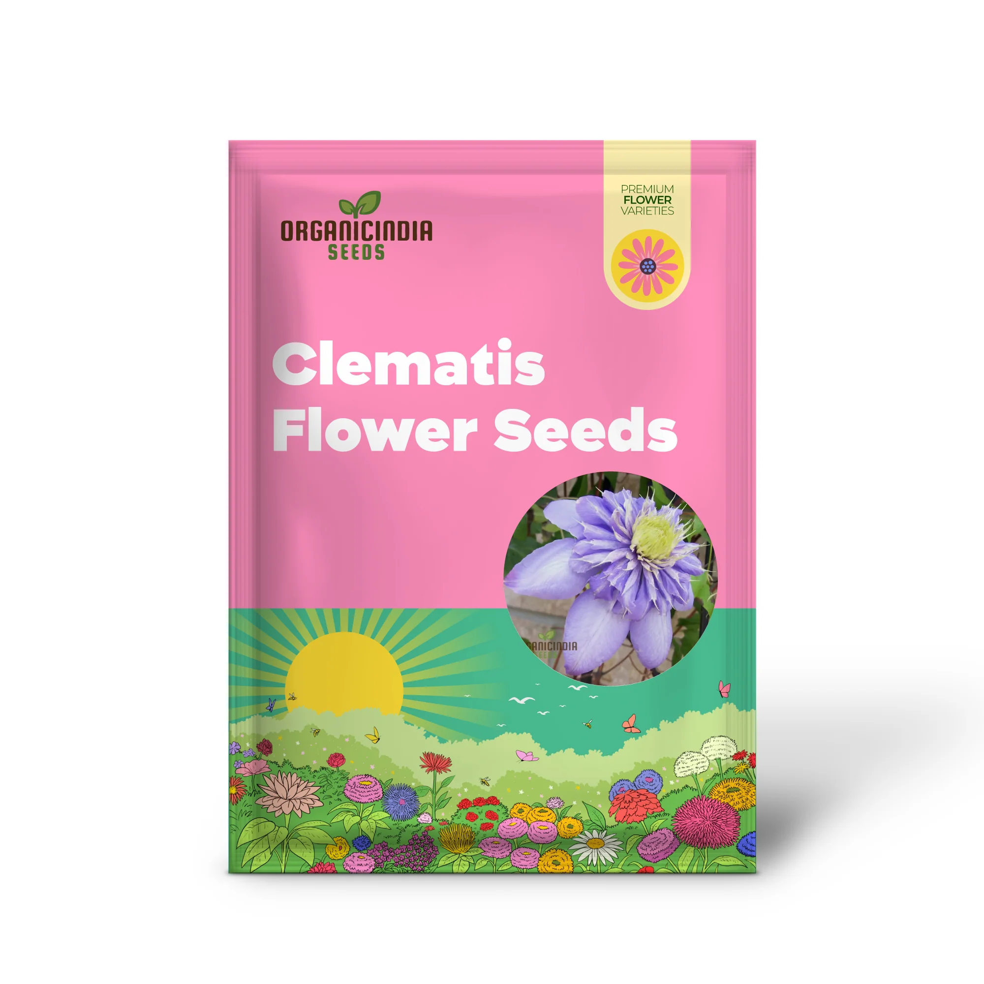 Clematis 'Baby Blue' Flower Seeds for Planting, Premium Quality Garden with Beautiful Blooms - Image 2