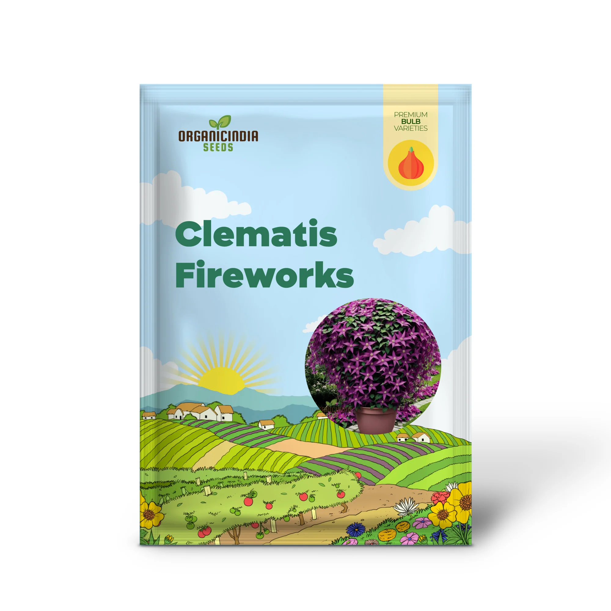 Clematis Fireworks, Starter Plants Ready for The Garden, Beautiful Deep Pink and Purple Flowering Vine (3 Bulbs for Planting) - Image 2