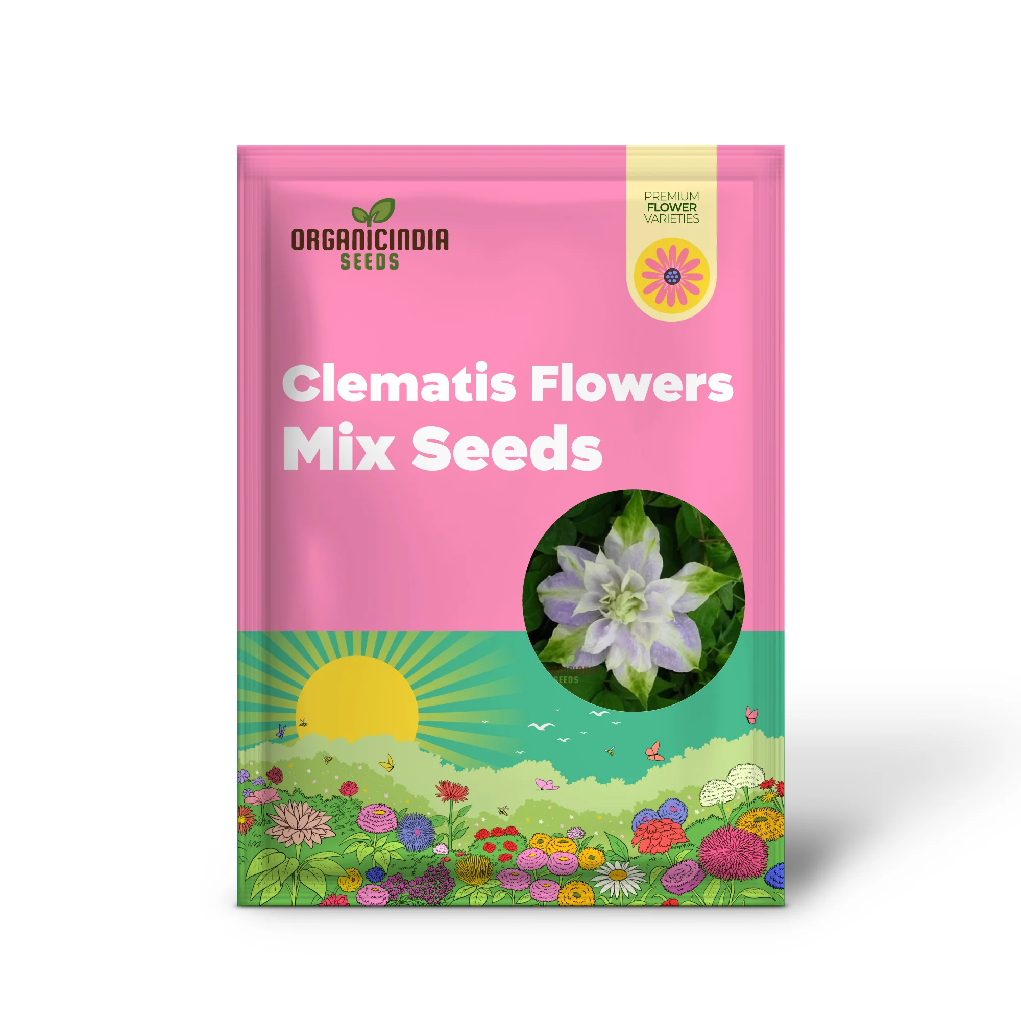 Clematis Flowers Mix Seeds - Gardening Plant Seeds - Image 2