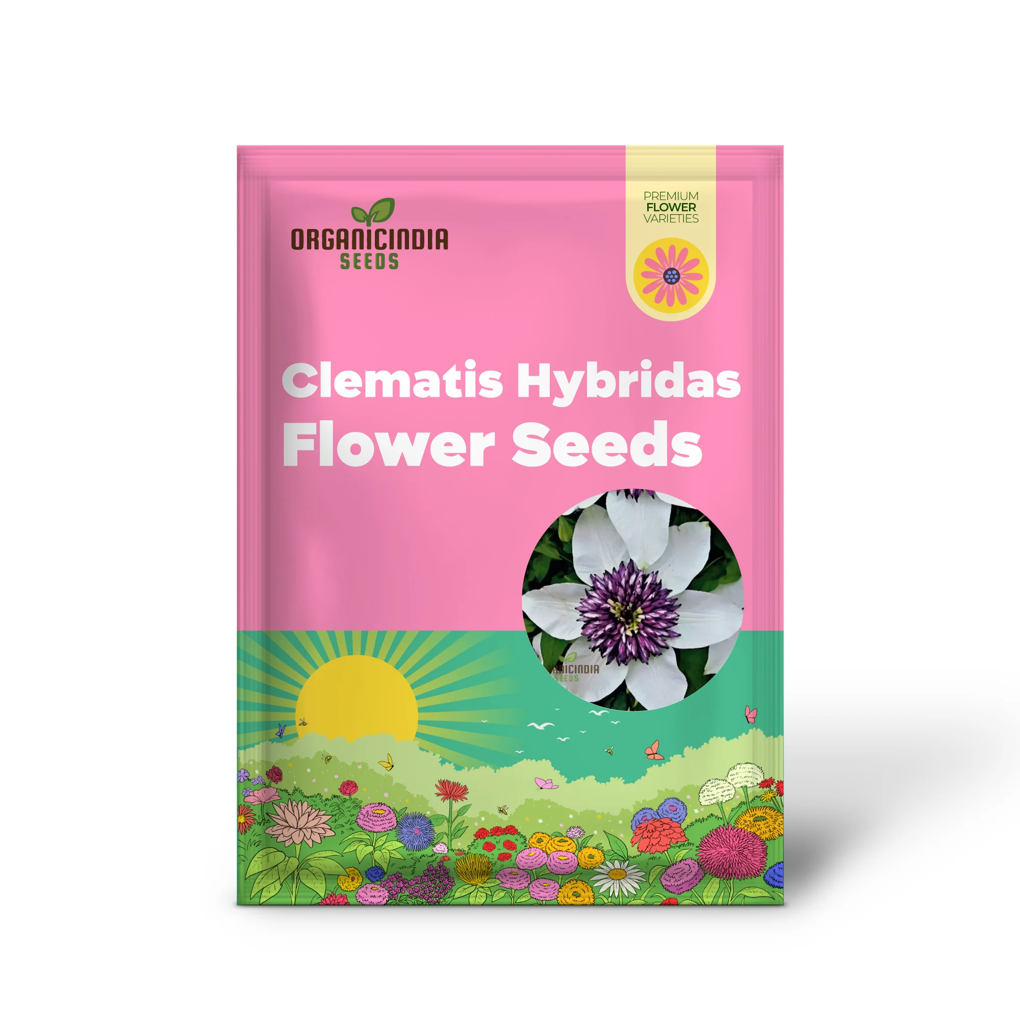 Clematis Hybridas Flower Seeds for Planting - Image 2