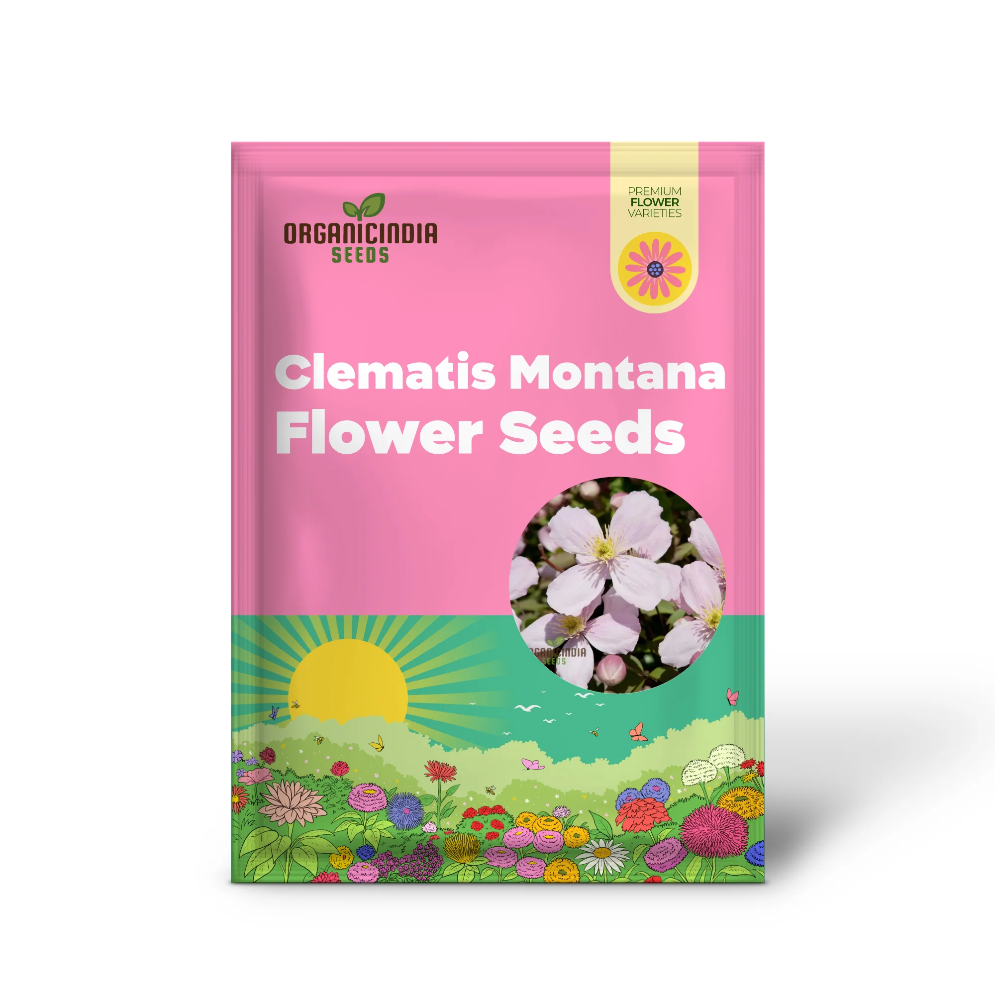 Clematis Seeds (Clematis Montana Perfumed Mixed Seeds) - Fragrant Mixed Blooms for Gardening - Image 2
