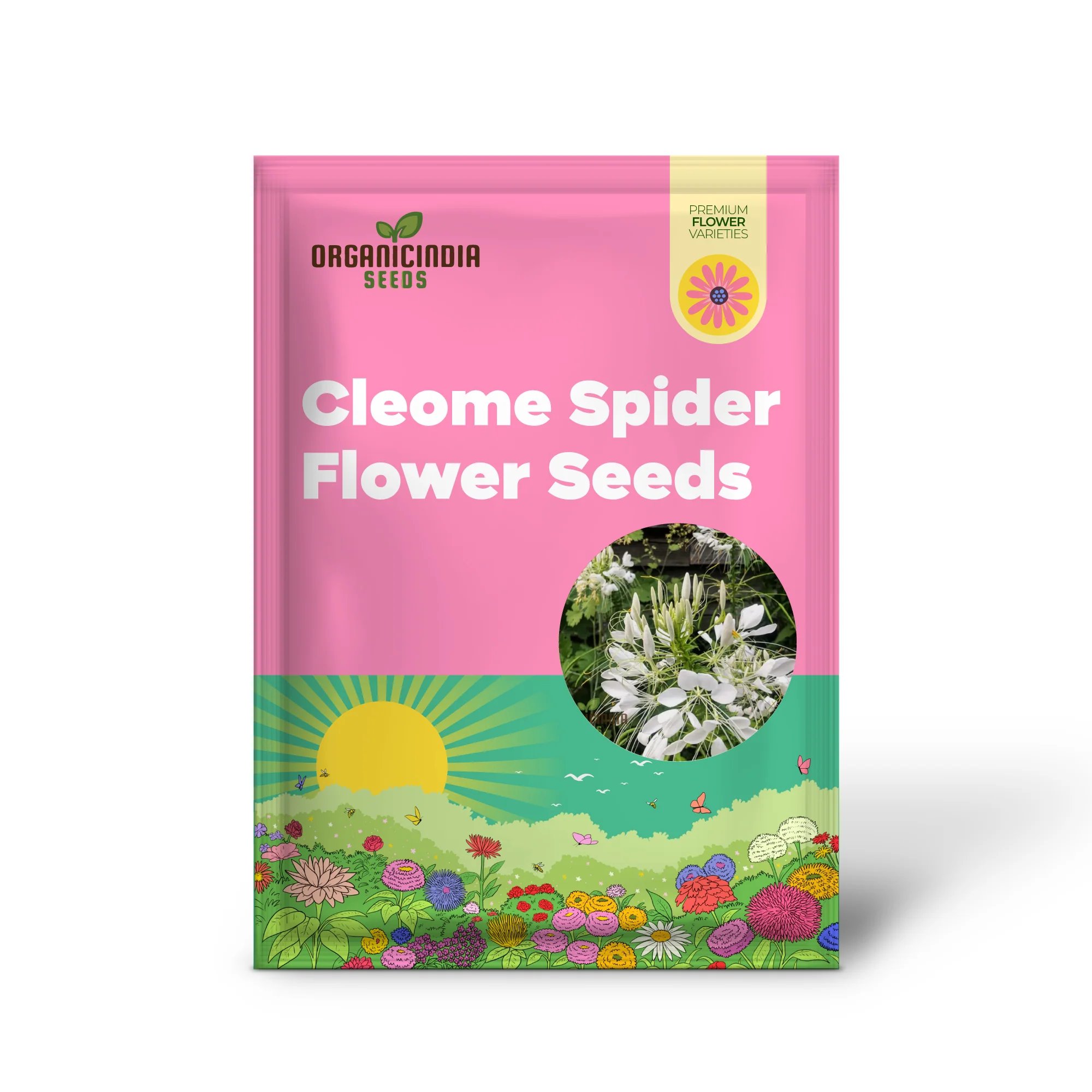 Cleome/Spider Flower White Seeds for Planting, Growing Guide for Beautiful White Blooms - Image 2