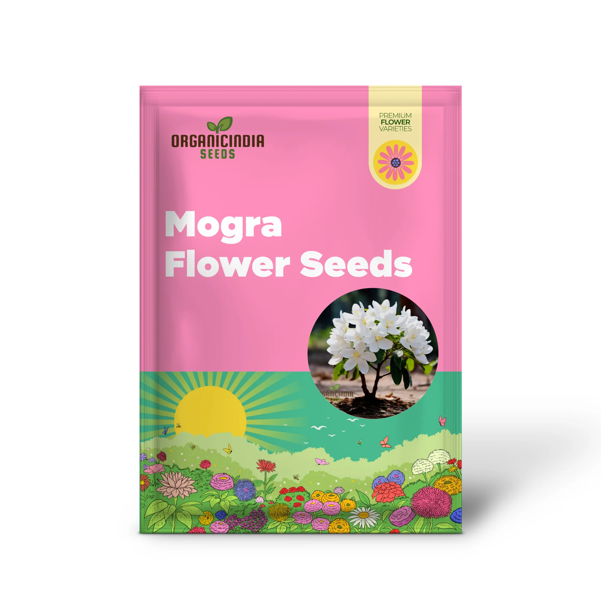 Climbing Beautiful White Mogra Live Flower Seeds, Fragrant and Elegant Blooms for Vertical Gardens - Image 2