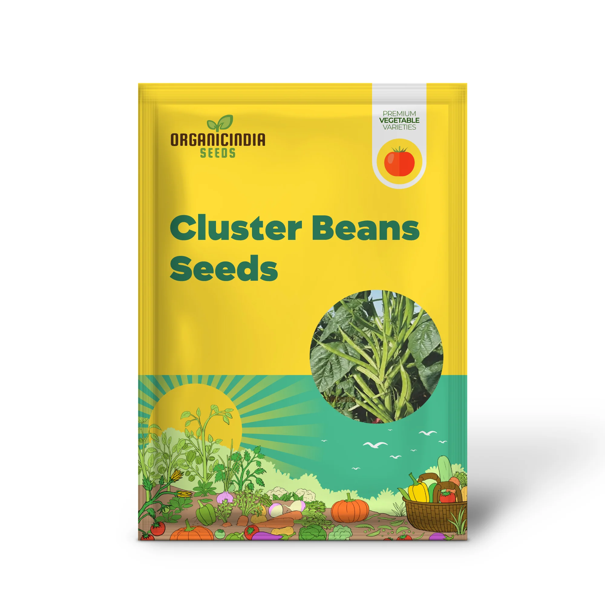 Cluster Beans Vegetable Seeds, High-Yield, Disease-Resistant, Perfect for Home Gardening - Image 2