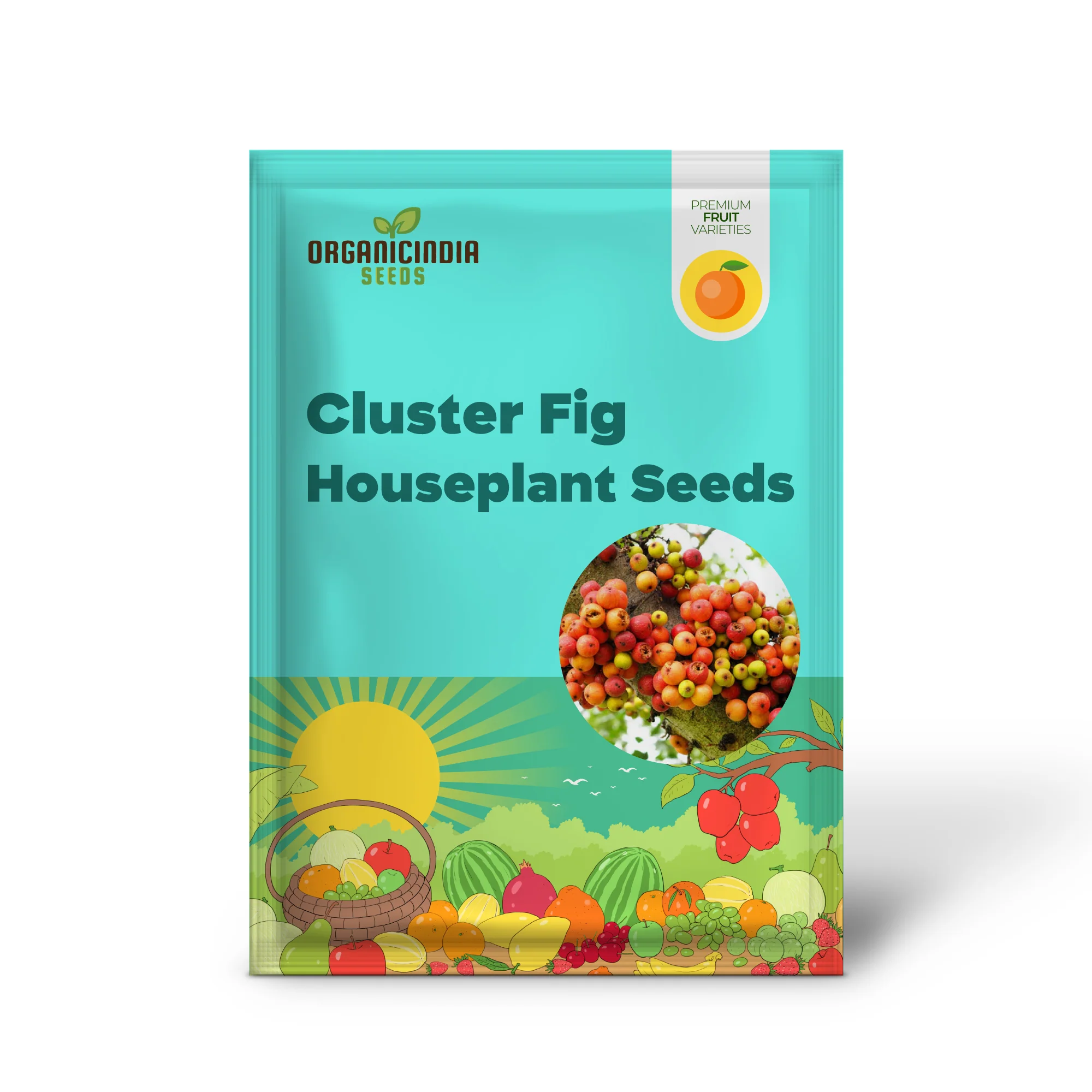 Cluster Fig (Ficus Racemosa) – Red River Indian Guilar Tree Houseplant Seeds - Image 2