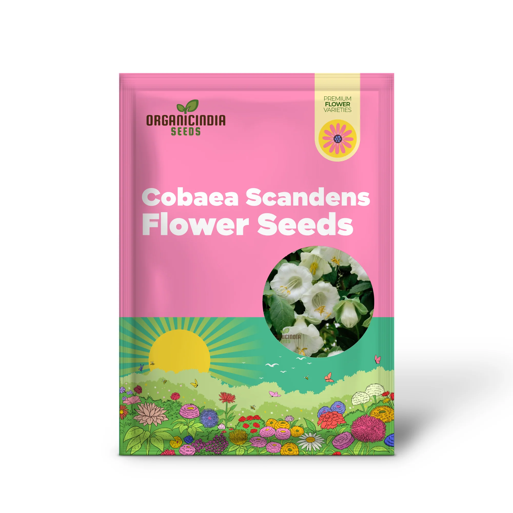 Cobaea Scandens Alba Flower Seeds Grace and Elegance in Your Garden with Expert Planting and Gardening - Image 2