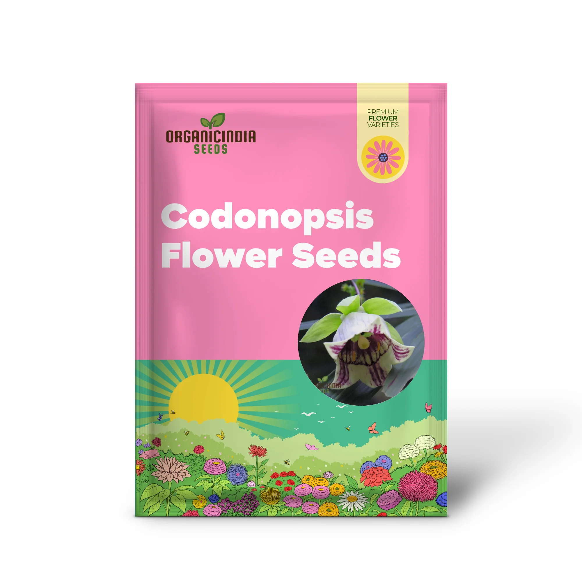 Codonopsis Bhutanica Flower Seeds for Planting, Premium Quality for Gardening - Image 2