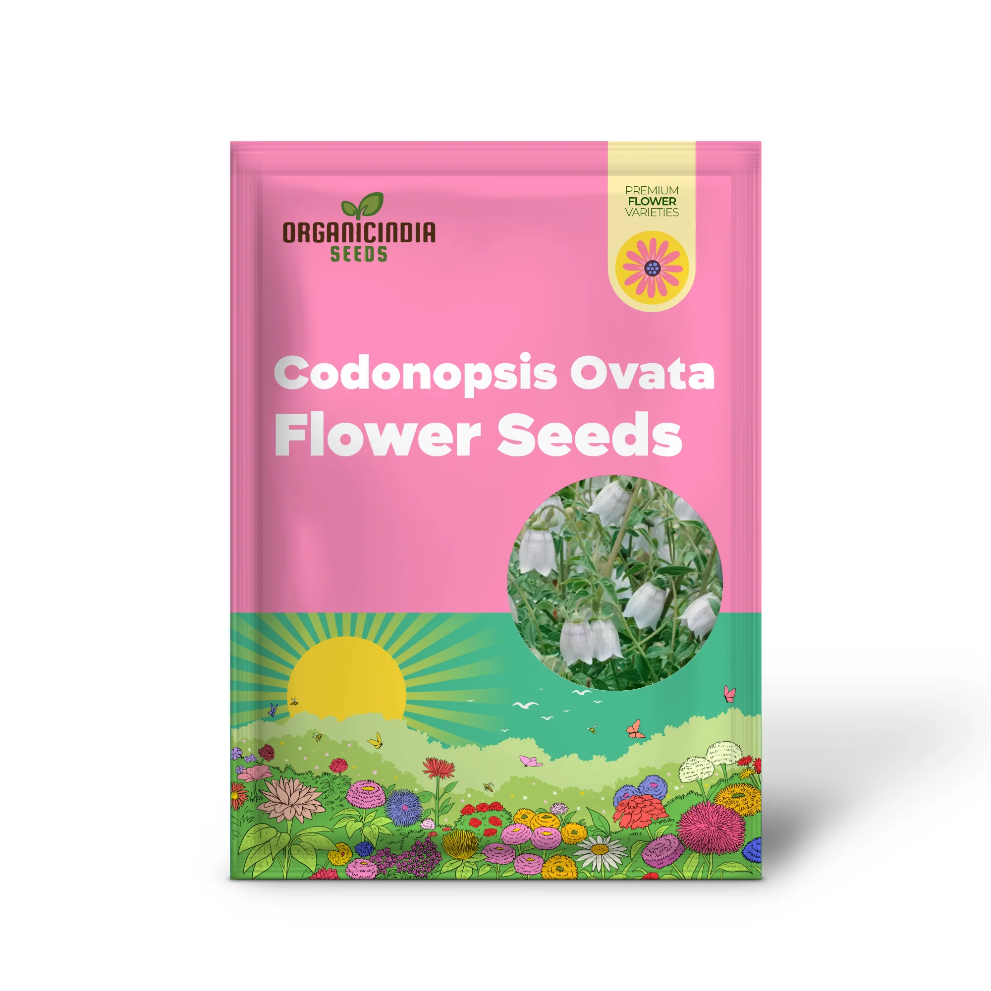 Codonopsis Ovata Flower Seeds for Planting, Premium Quality Seeds for Cultivating Beautiful Blooms Gardening - Image 2