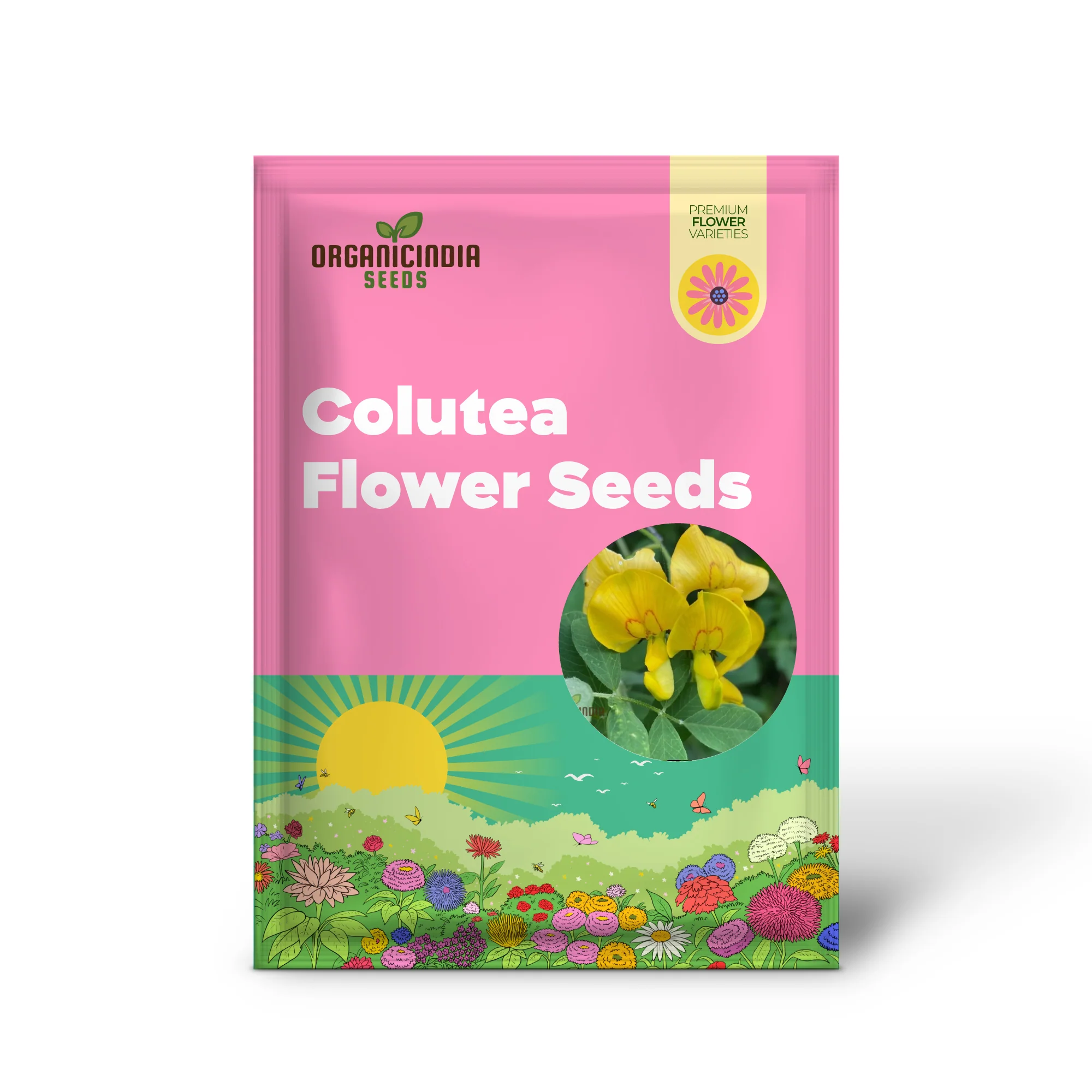 Colutea Arborescens Flower Seeds for Planting and Vibrant Garden, Premium Quality Gardening Seeds - Image 2