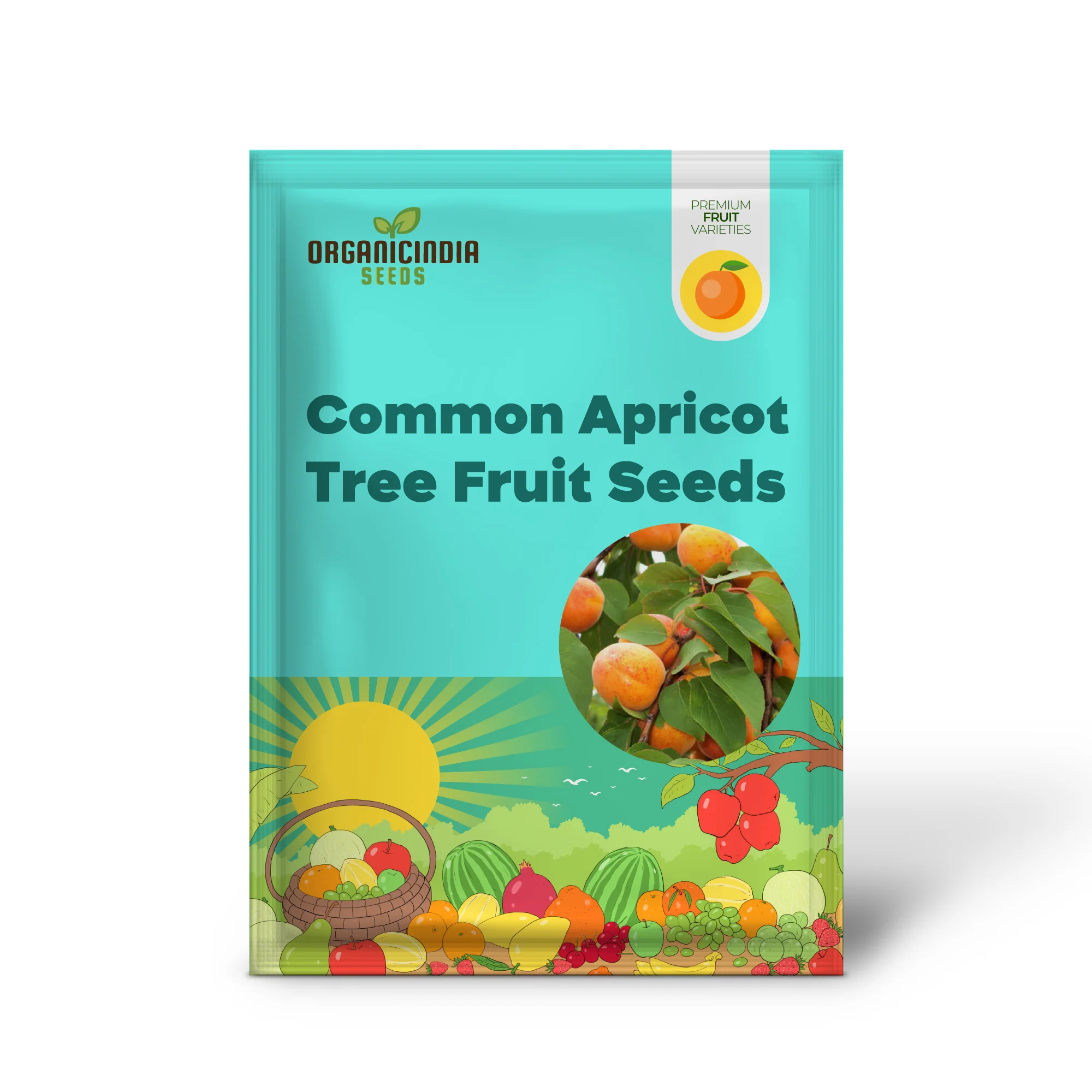 Common Apricot Tree Fruit Seeds - Image 2
