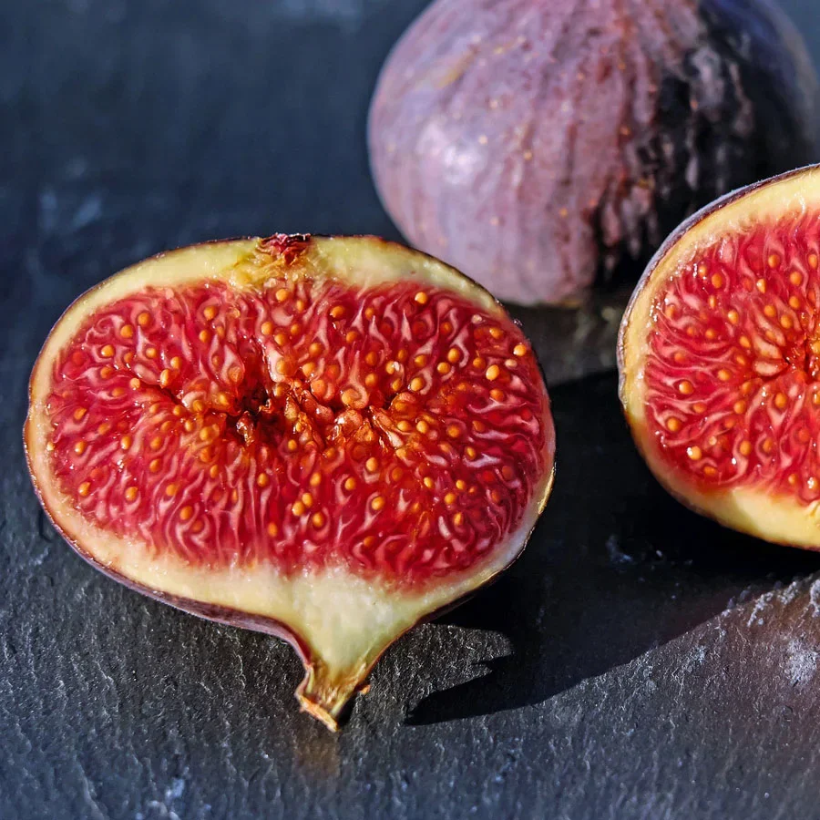Common Edible Fig Fruit Seeds