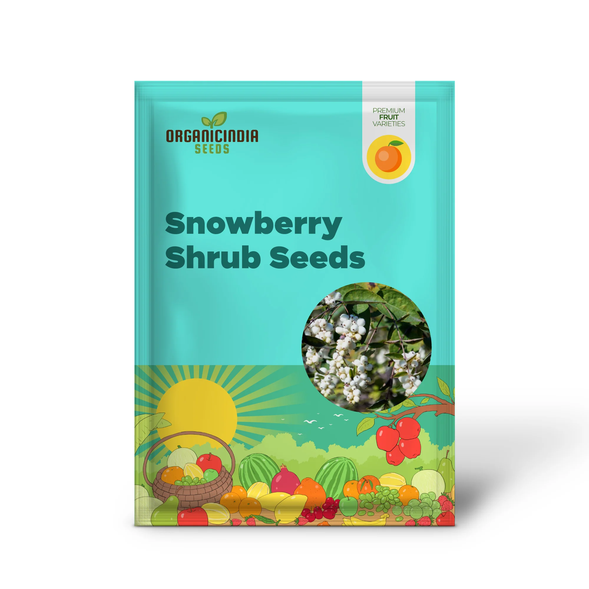 Common Snowberry Seeds – Symphoricarpos albus Deciduous Shrub with White Berries - Image 2
