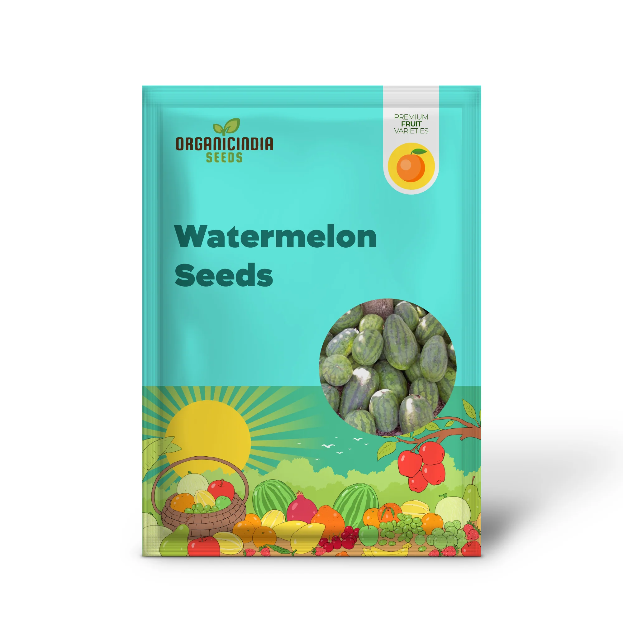 Congo Watermelon (Citrullus lanatus) – AAS Winner Red Fruit Melon Seeds - Image 2