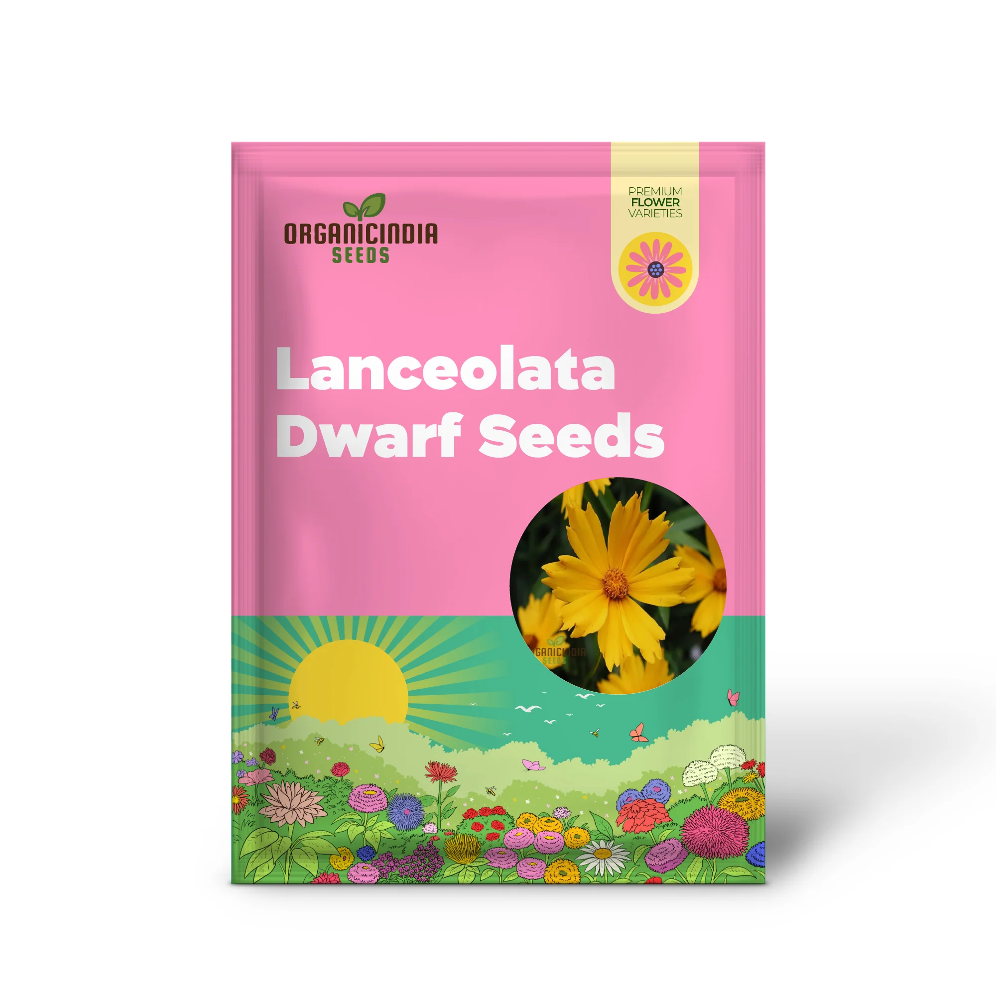Coreopsis Lanceolata Dwarf Seeds for Planting - Image 2
