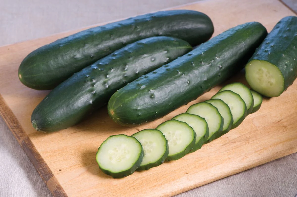 Corinto Cucumber Seeds – High-Yield, Crisp & Sweet Hybrid for Greenhouse & Garden - Image 2