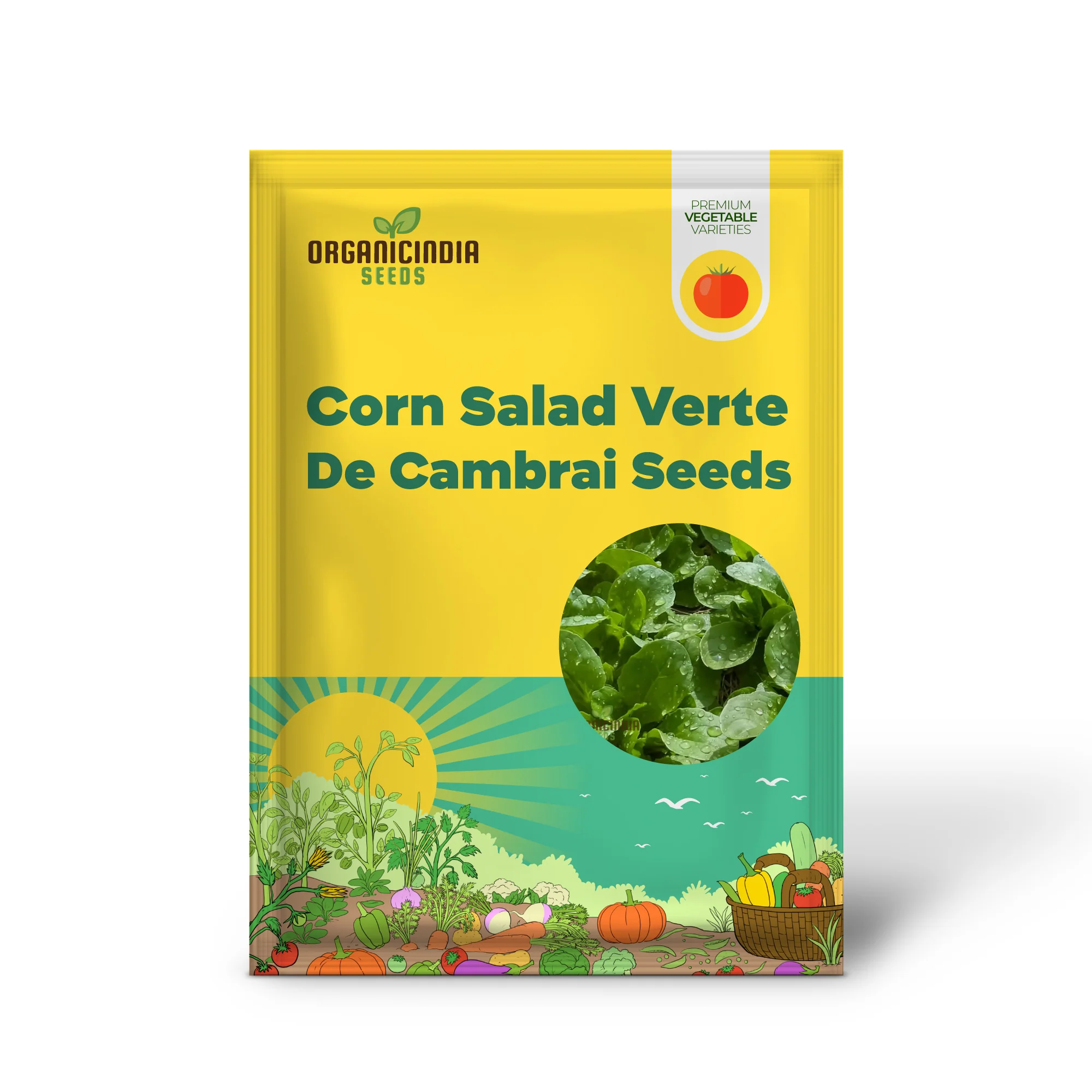 Corn Salad - Verte De Cambrai Seeds for Planting and Gardening | Premium Quality Seeds - Image 2