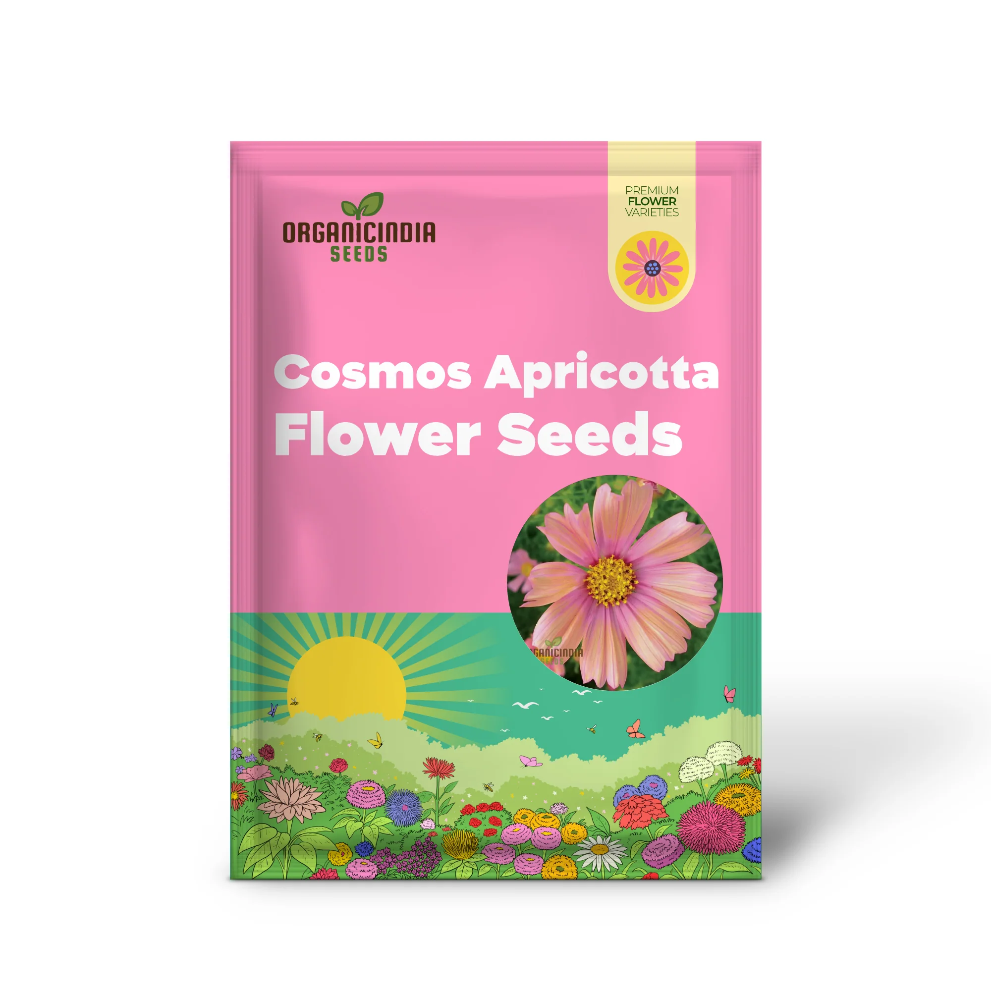 COSMOS APRICOTTA Flower Seeds For Planting| Long-Lasting Blooms, Easy Care, and Captivating Beauty - Image 2