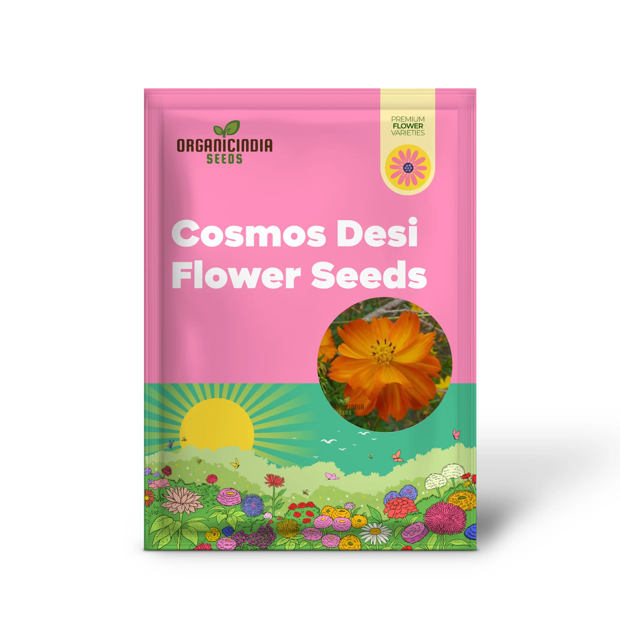 Cosmos Orange Desi Flower Seeds - Bright and Cheerful Blooms for Your Garden - Image 2