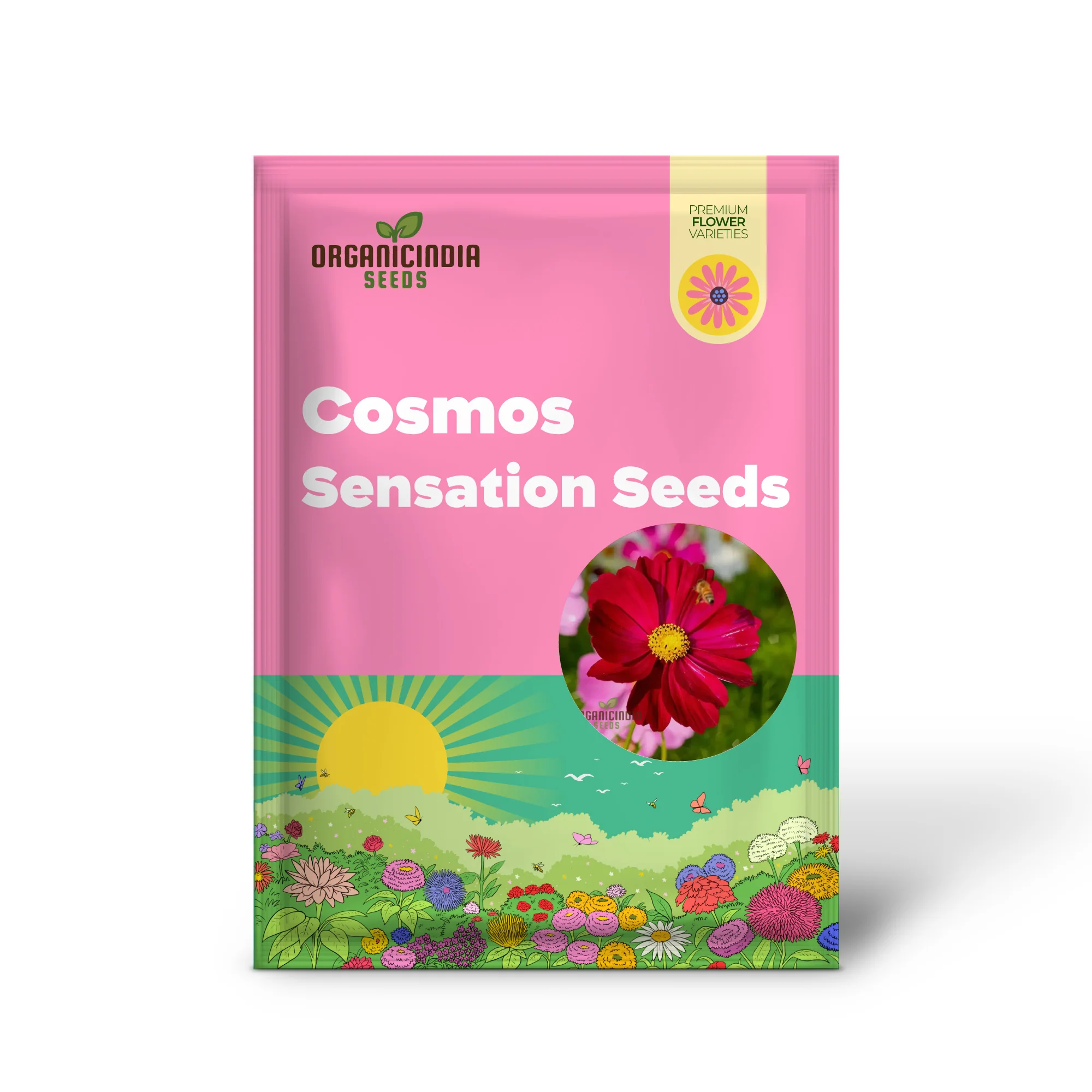 Cosmos Pink Sensation Dazzler Seeds for Planting: Add Floral Splendor to Your Garden - Image 2