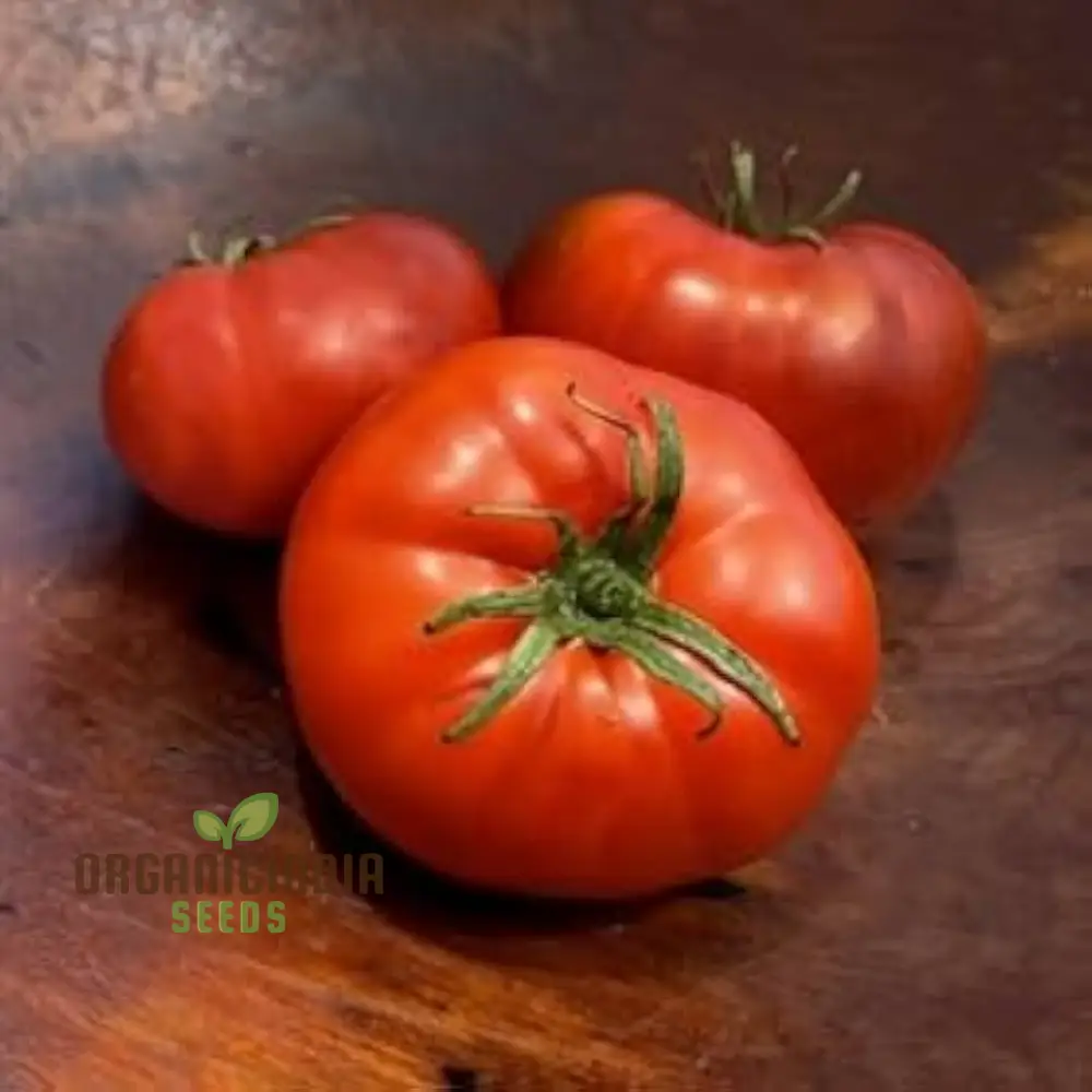 Coustralee Tomato Seeds for Planting ,Heirloom Variety | Ideal for Home Gardening, Juicy and Flavorful Tomatoes - Image 3