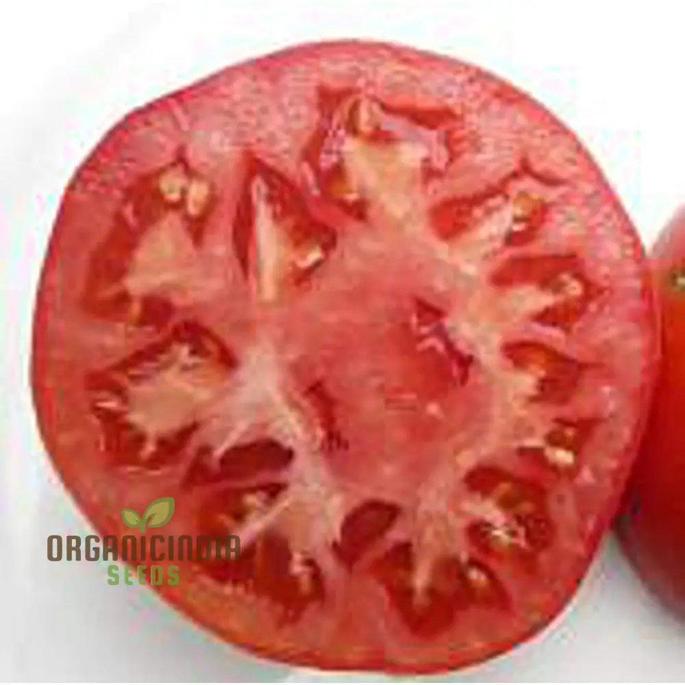 Coustralee Tomato Seeds for Planting ,Heirloom Variety | Ideal for Home Gardening, Juicy and Flavorful Tomatoes - Image 4