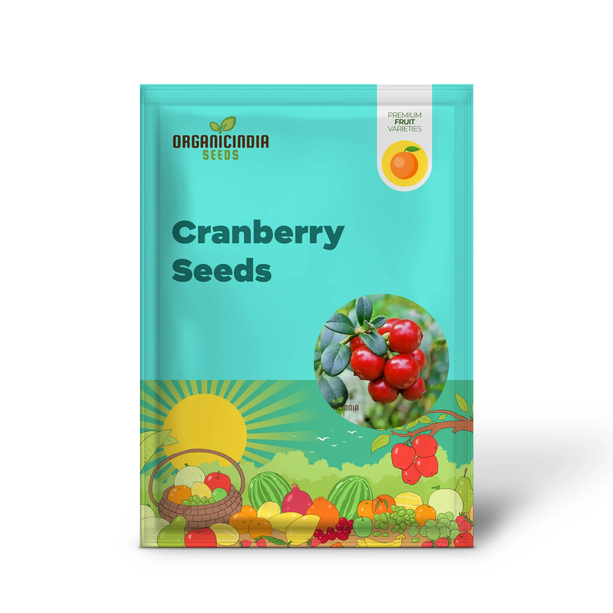 Cranberry Seeds for Planting, Gardening Enthusiasts - Buy Organic Seeds Online - Image 2