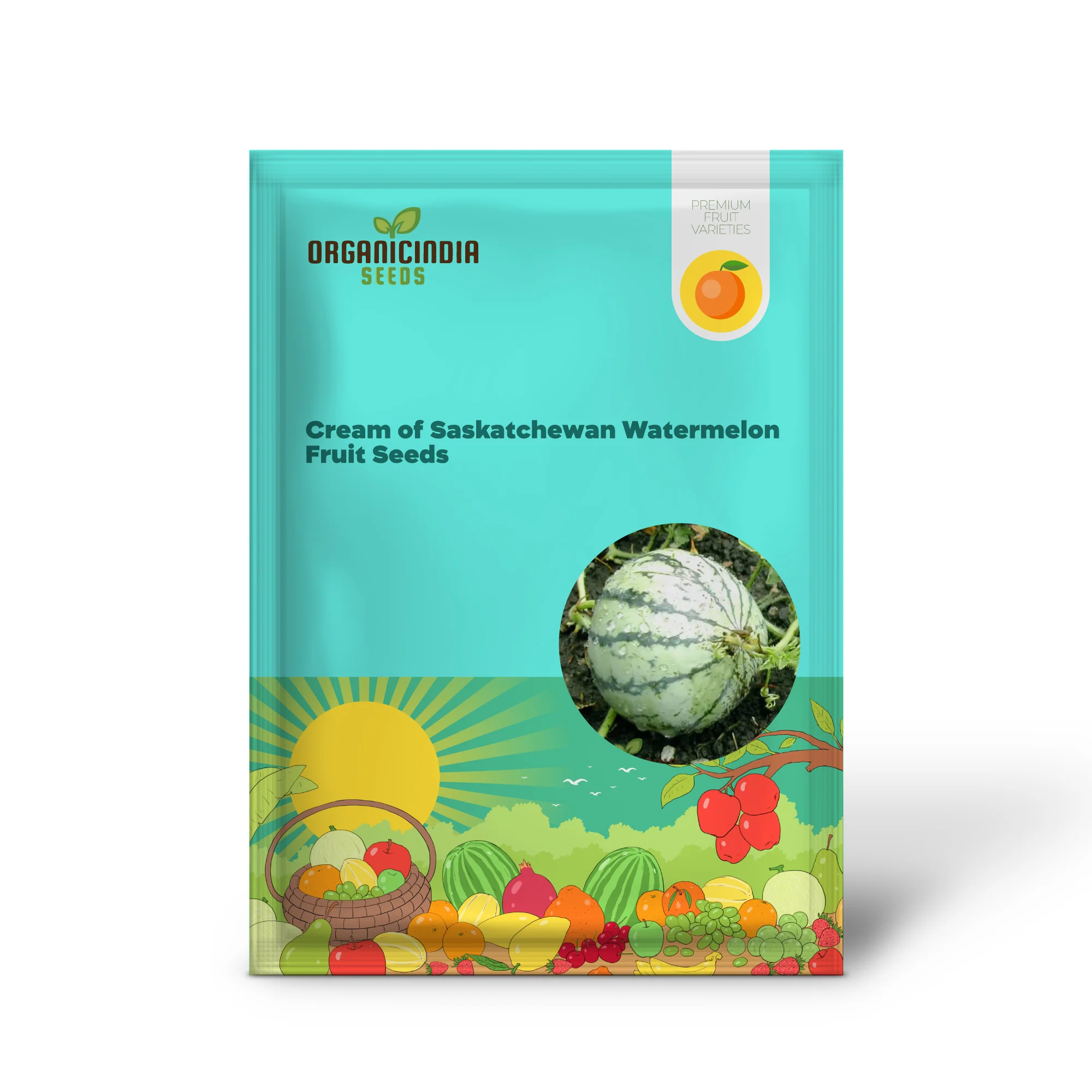 Cream of Saskatchewan Watermelon Seeds For Planting: Exquisite Gardening Delight for Your Summer Oasis - Image 2