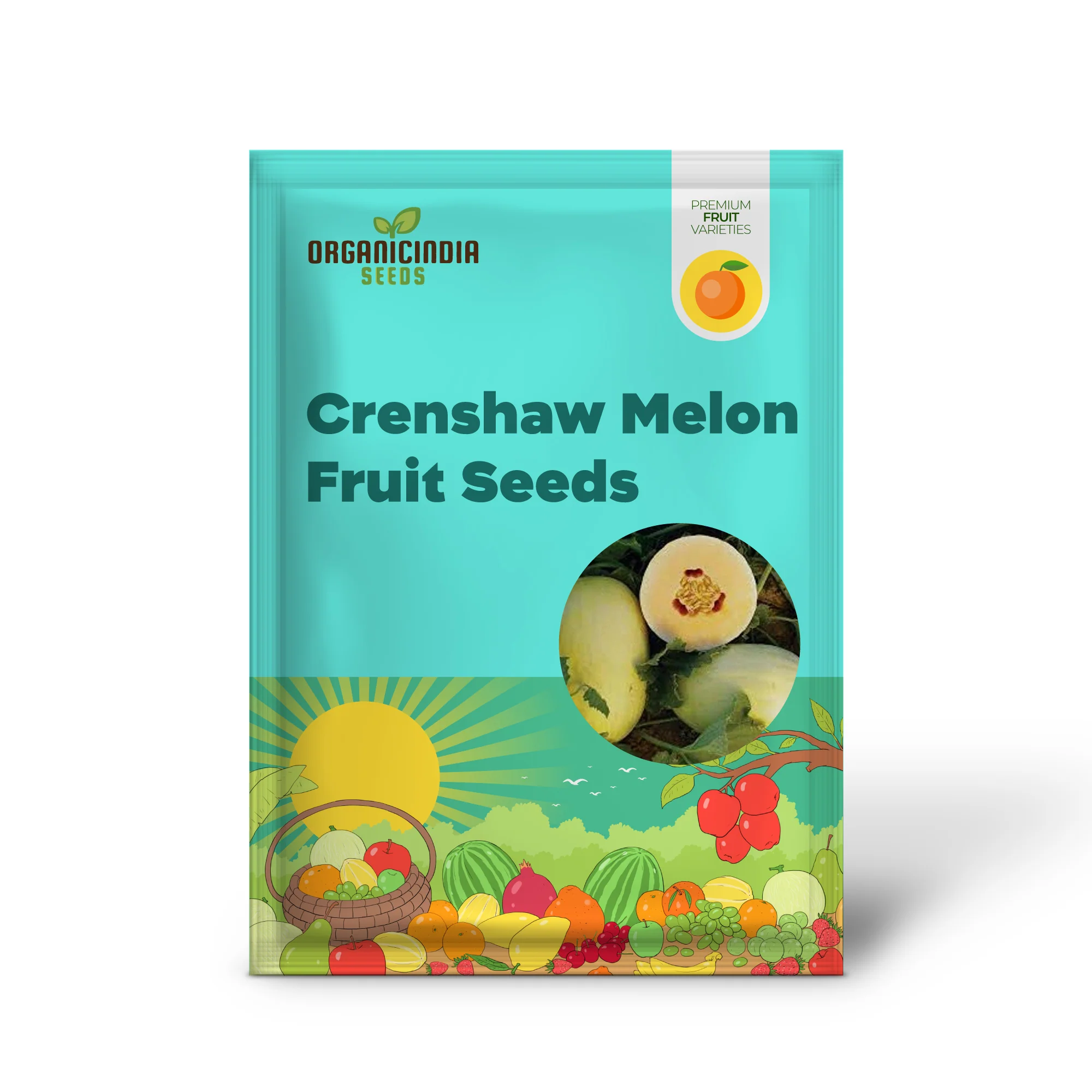 Crenshaw Melon Fruit Seeds - Image 2