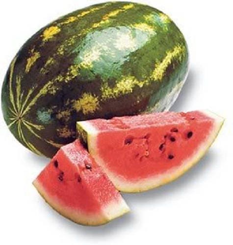 Crimson Sweet Watermelon Fruit Seeds - Image 6
