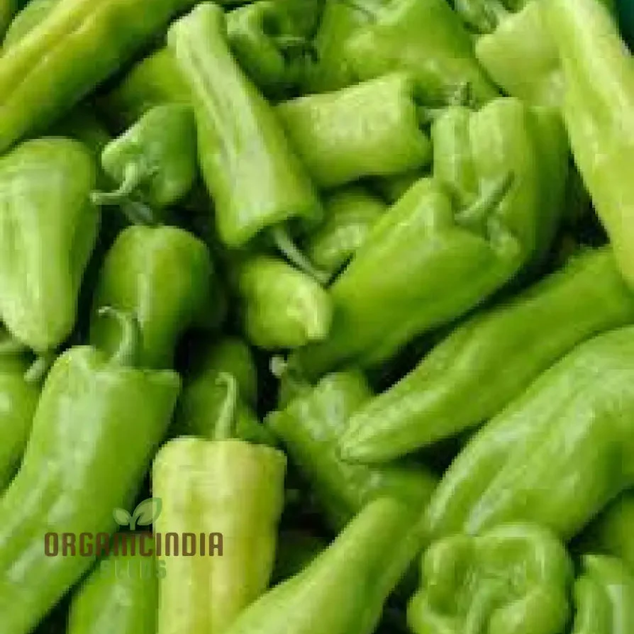 Cubanelle Sweet Pepper Seeds - Premium Quality Seeds for Gardening