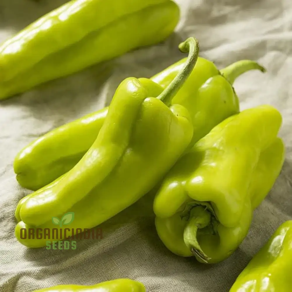 Cubanelle Sweet Pepper Seeds - Premium Quality Seeds for Gardening - Image 3