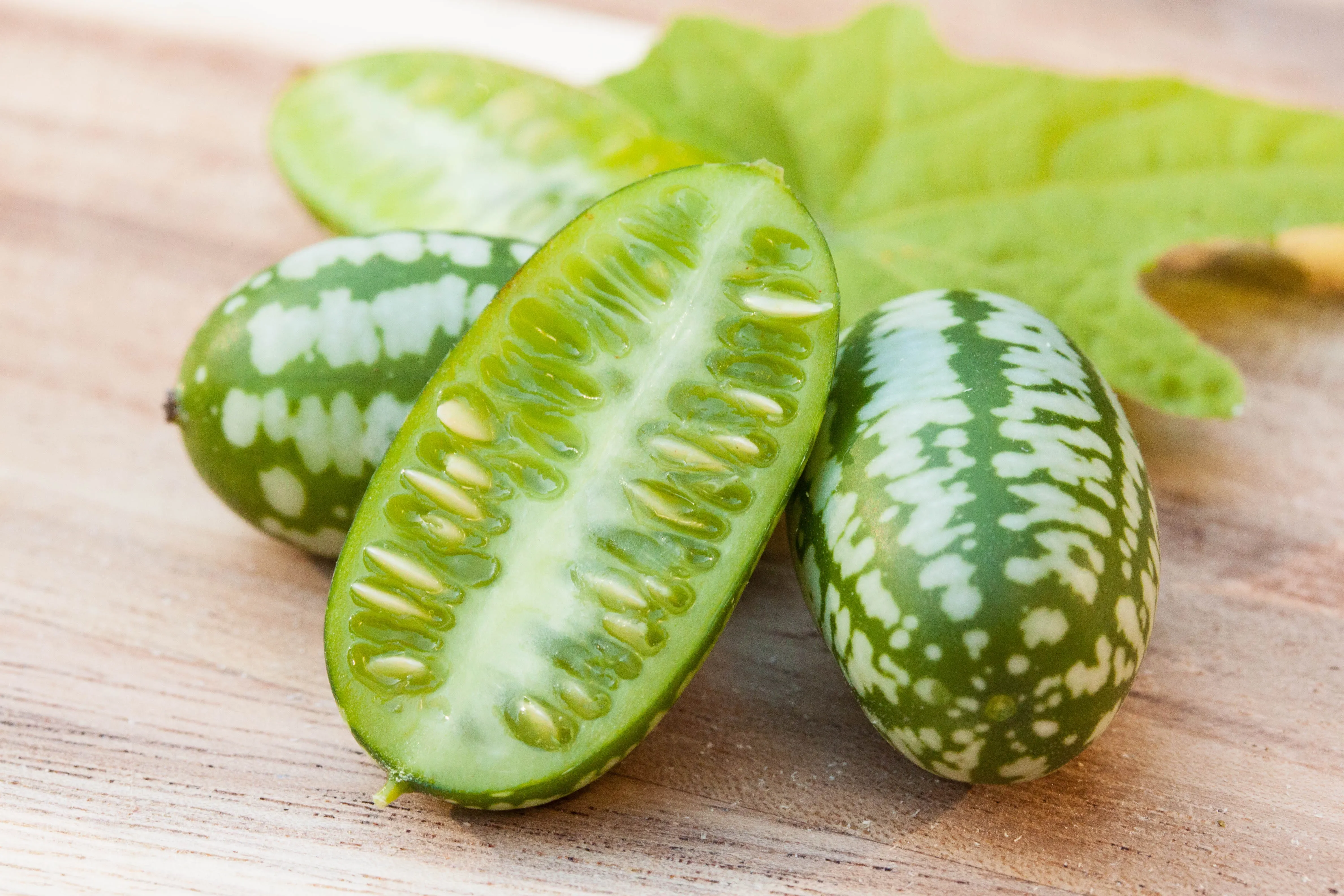 Cucamelon Seeds for a Fun and Flavorful Addition to Your Garden, Elevate Your Gardening Experience with These Tiny, Crunchy Delights! - Image 5
