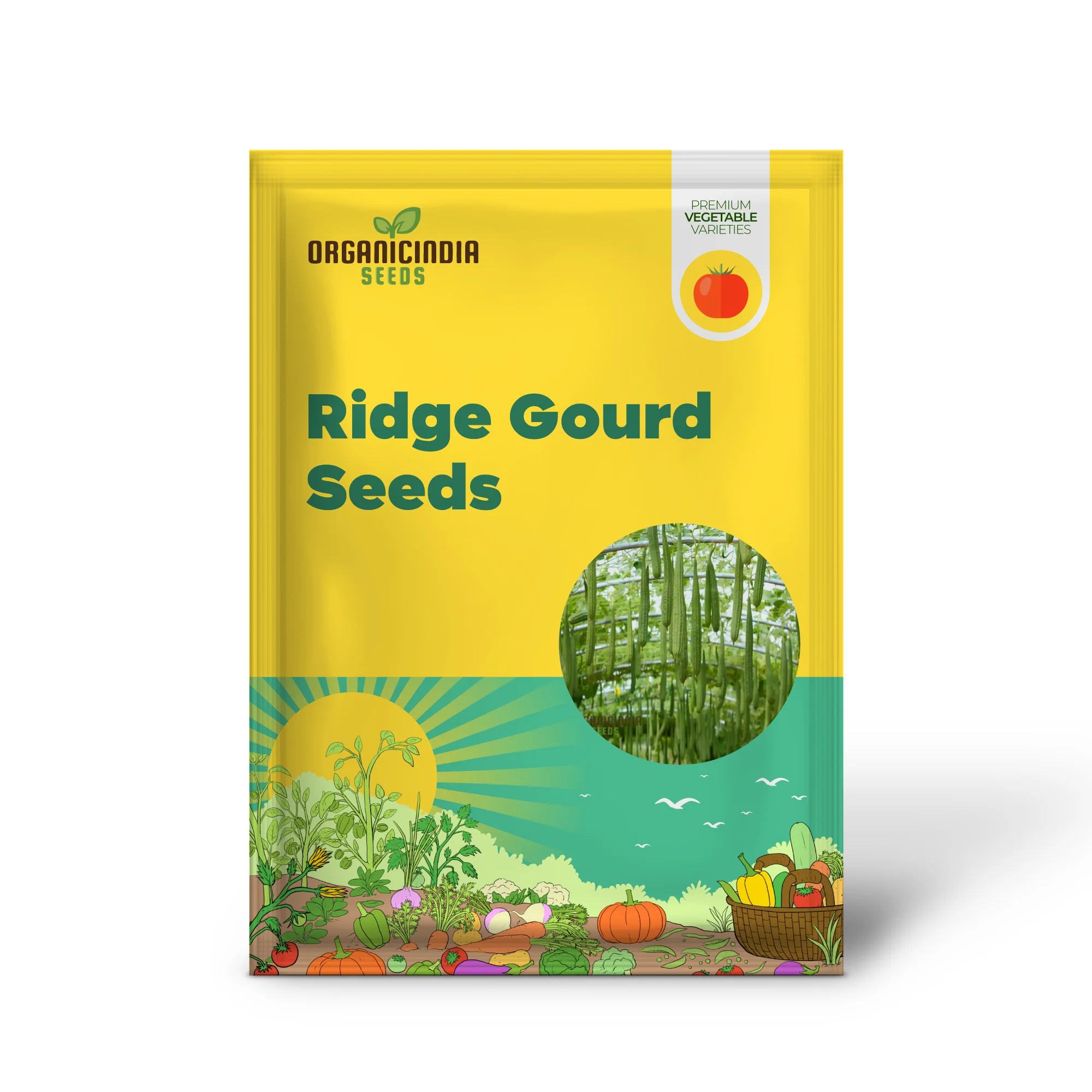 Ridge Gourd Seeds, Growing Your Own Exotic Luffa Vine Planting Seeds - Image 2