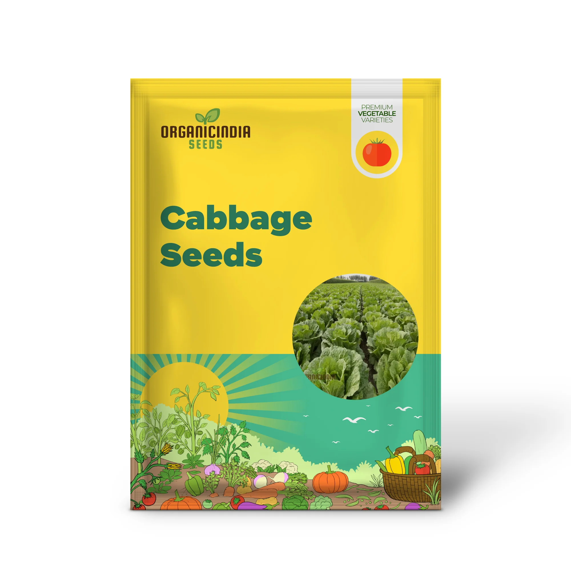 Mastering Napa Cabbage Cultivation, Your Guide to Fresh, Homegrown Vegetables Seeds - Image 2