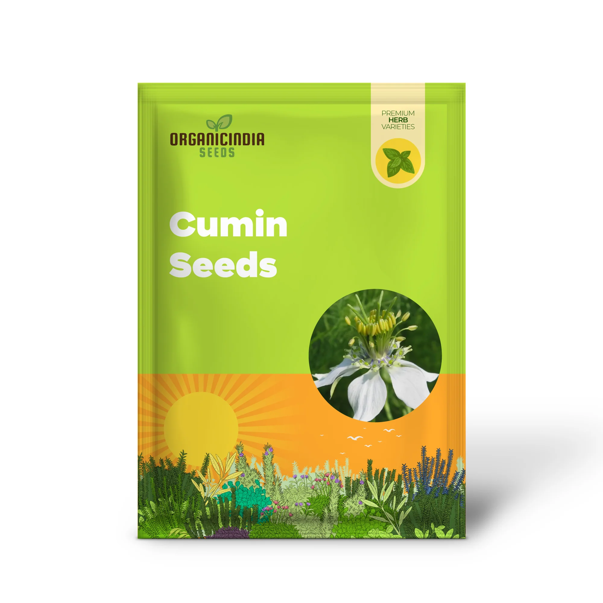 Cumin Seeds for Planting – Organic Gardening Essentials for Robust Harvests - Image 2