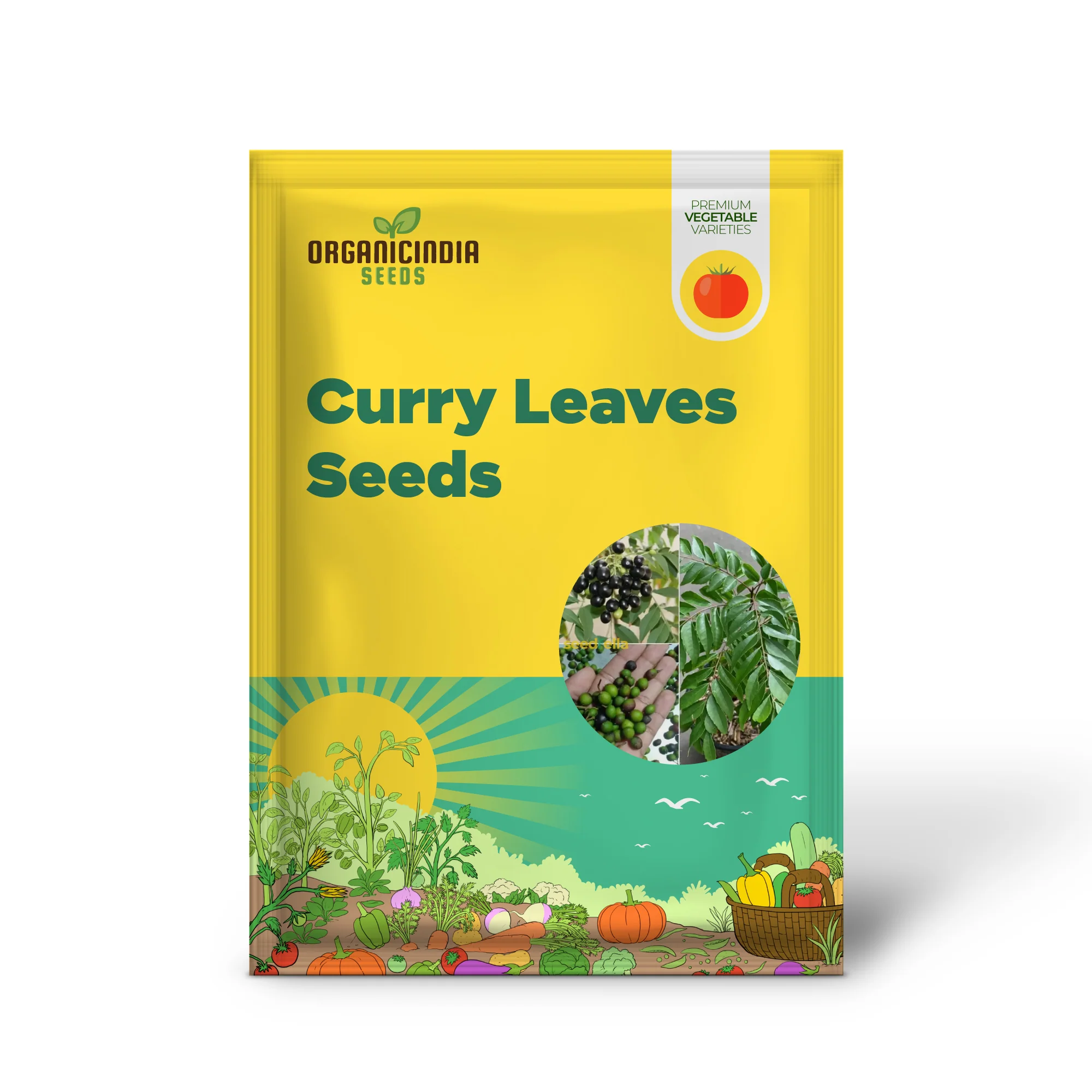 Curry Leaf Vegetable Seeds (Murraya Koenigii) – Grow Fresh Aromatic Leaves for Flavorful Home Cooking - Image 2