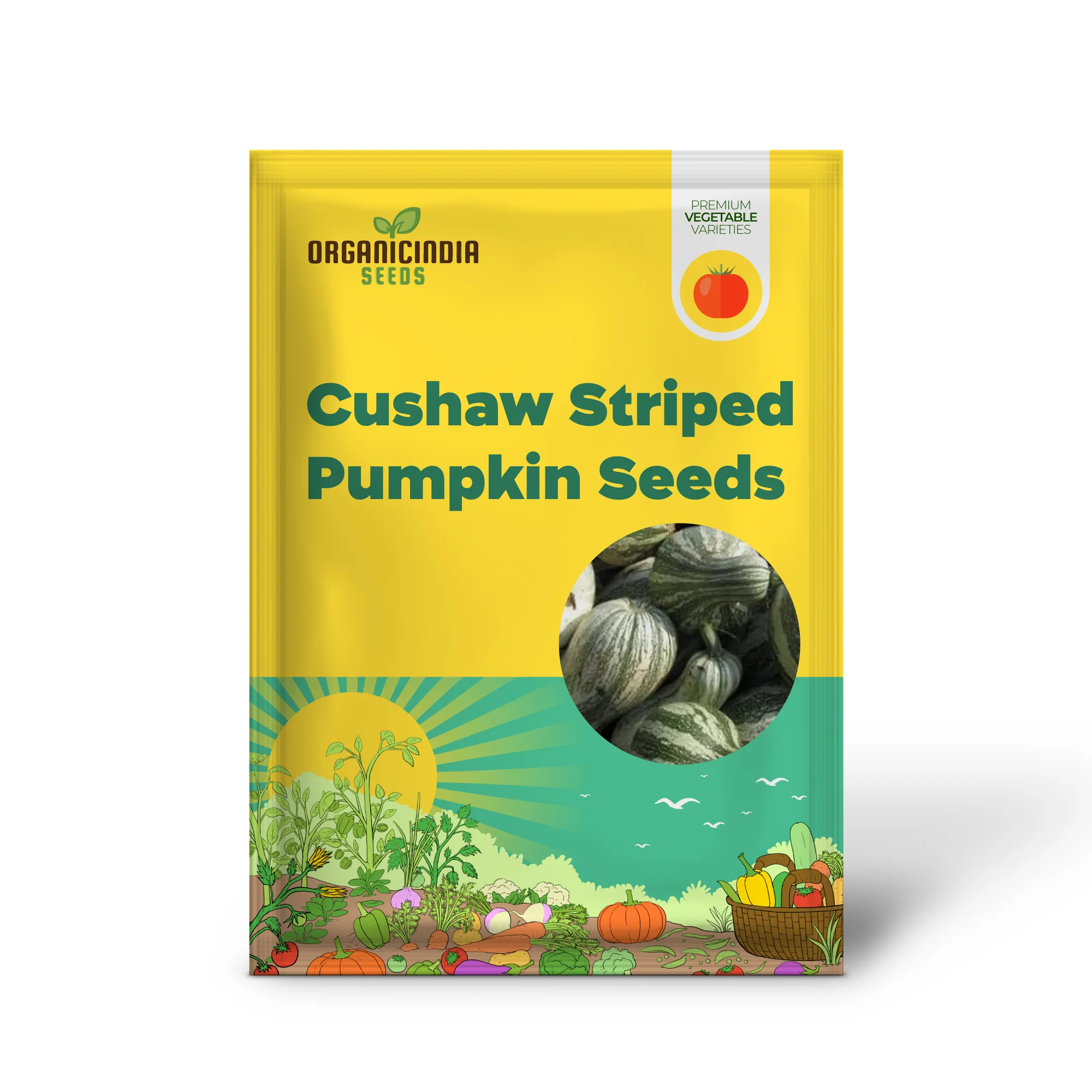 Cushaw Green-Striped Pumpkin Seeds for Gardening | Buy High-Quality Seeds Online - Image 2