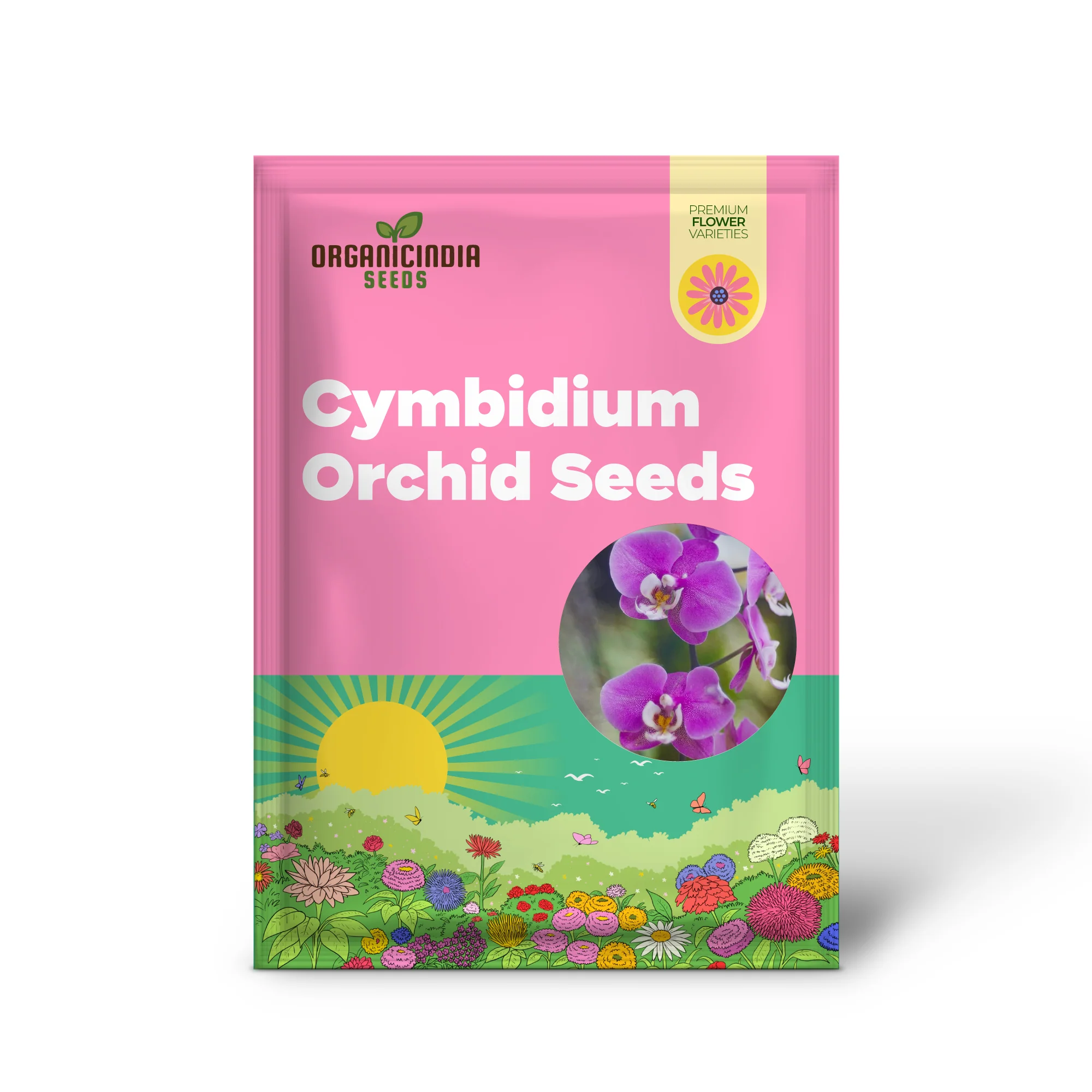Cymbidium Orchid Purple Seeds – Fragrant, Hardy, Easy-Care Orchid for Indoor & Outdoor Growing - Image 2