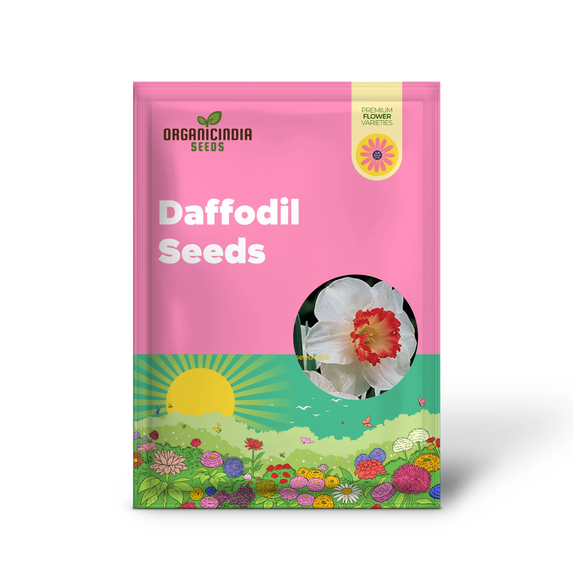 Daffodil Seeds for Planting - White and Red Blooms for a Vibrant Garden - Image 2