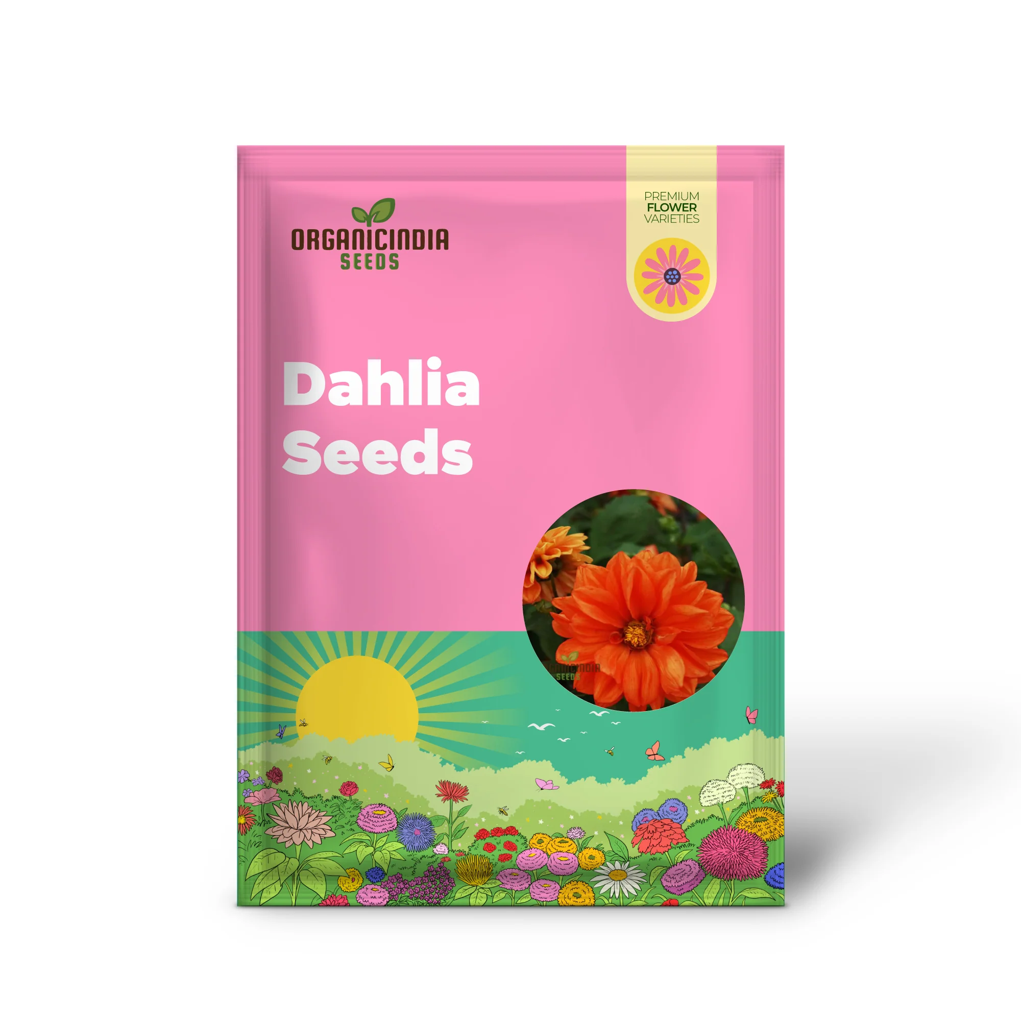 Dahlia - Delight in Orange Shades Seeds for Vibrant Blooms and Beautiful Garden Landscaping! - Image 2