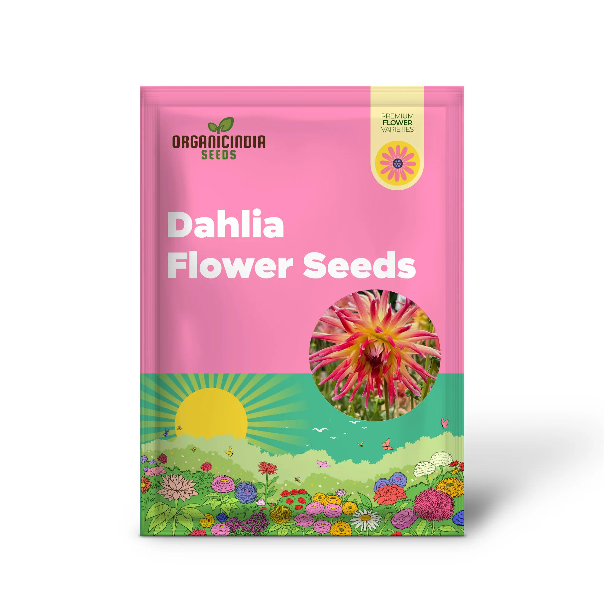 Dahlia Seeds (Electric Flash Dahlia Flower Seeds) - Vibrant Colorful Blooms for Summer Gardens - Image 2
