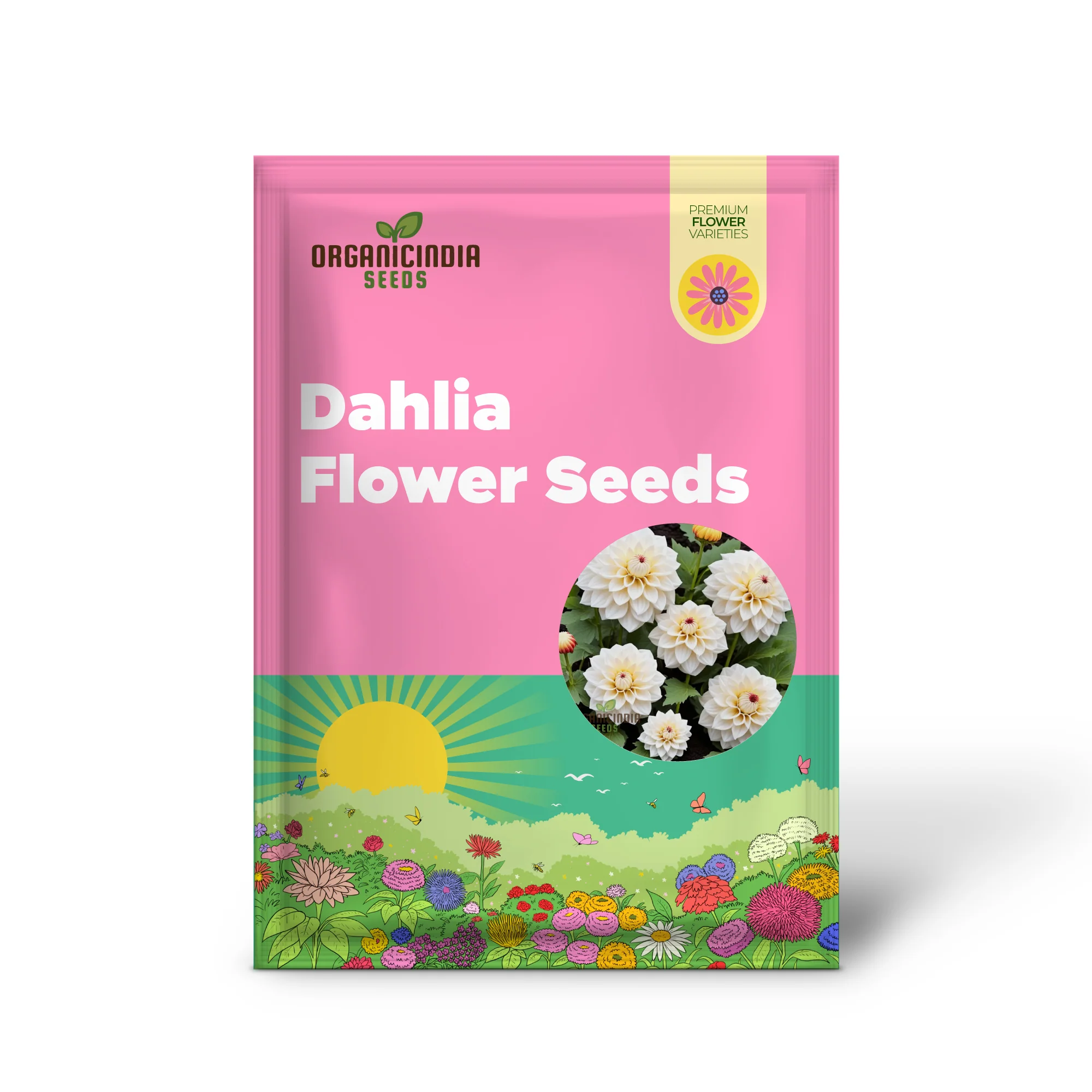 White Dahlia Seeds – Premium Garden Bloom Variety for Elegant Planting - Image 2